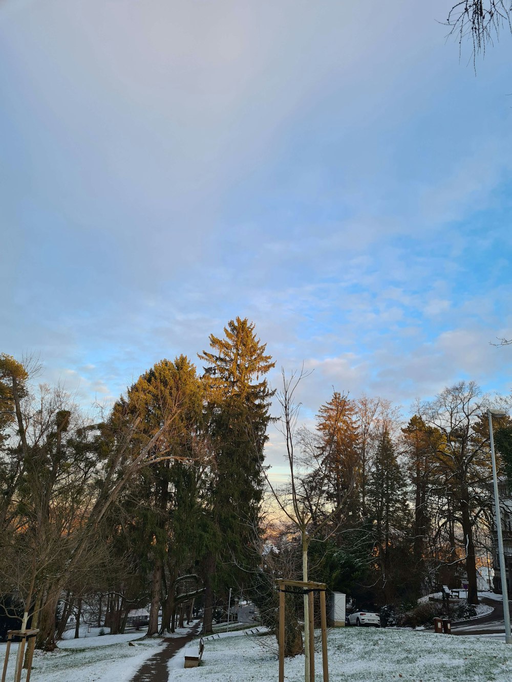 a snow covered field with trees and a path