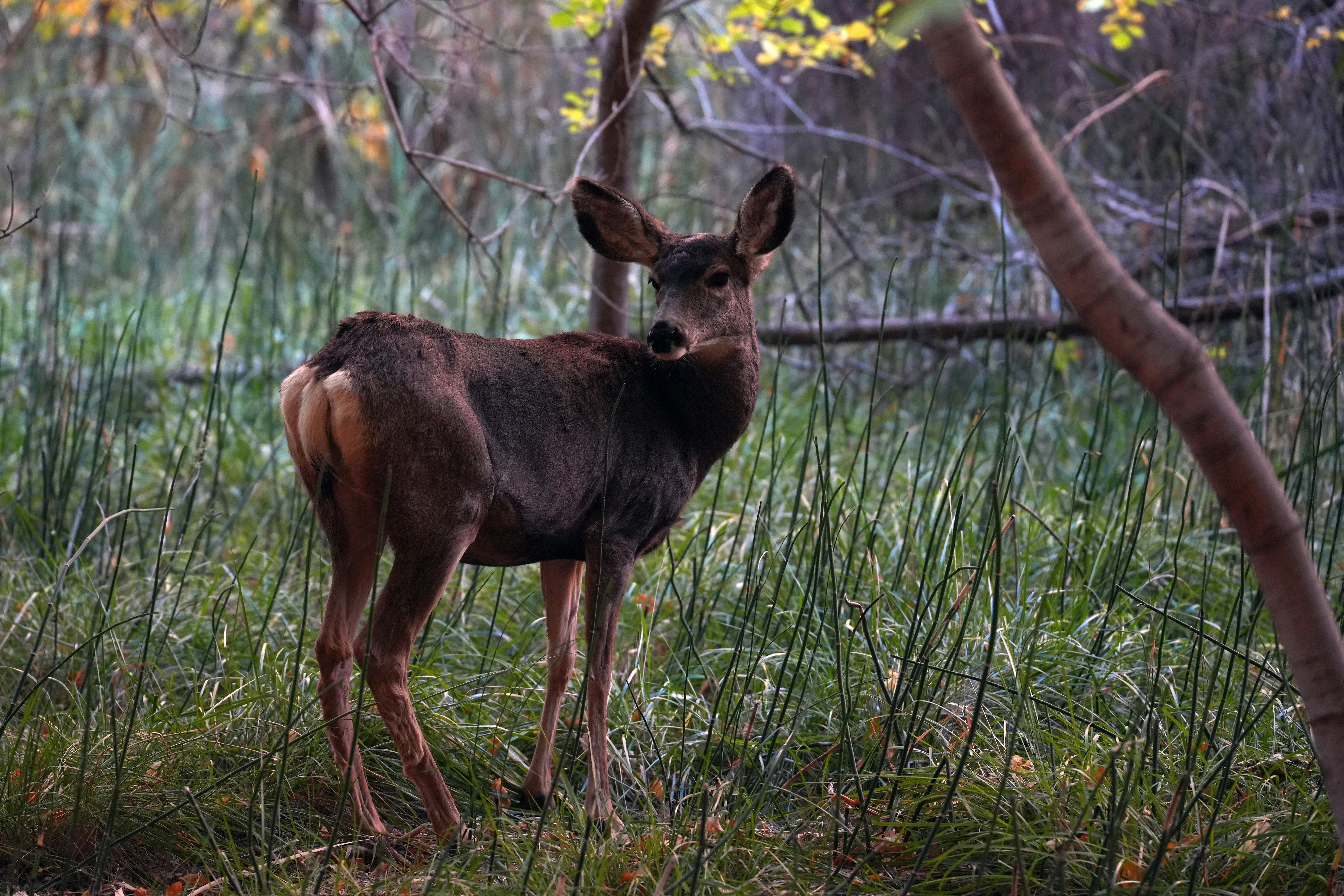 Photo by heatonthetrail