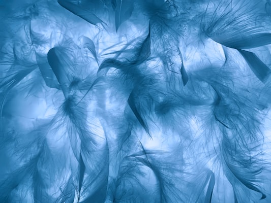 SimpleVLA-RL training pipeline includes SFT cold-start and RL fine-tuning