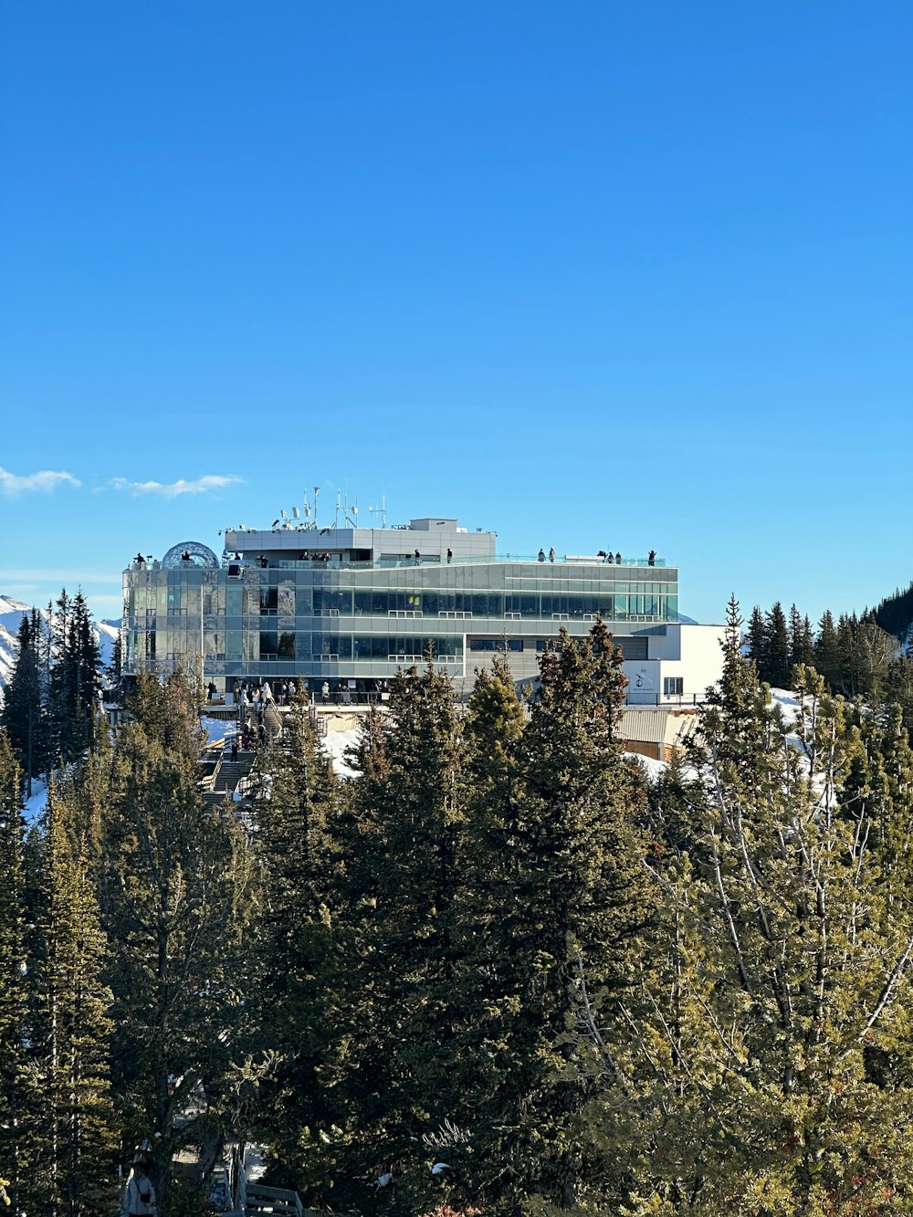 a large building surrounded by trees on a sunny day