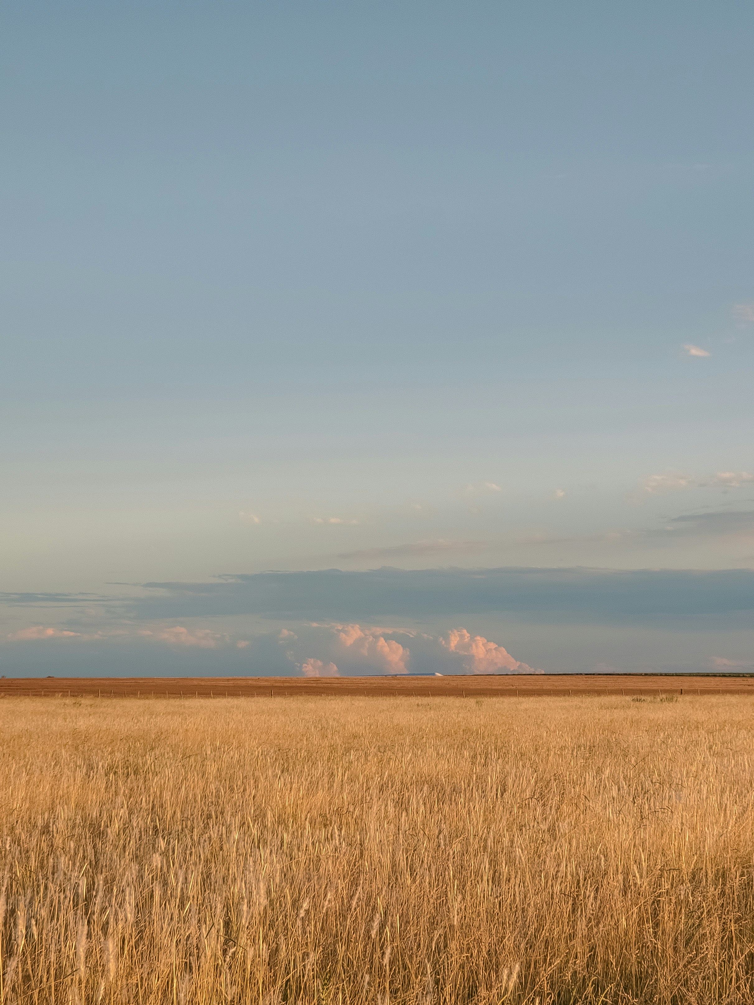 Photo by dariobonzi39