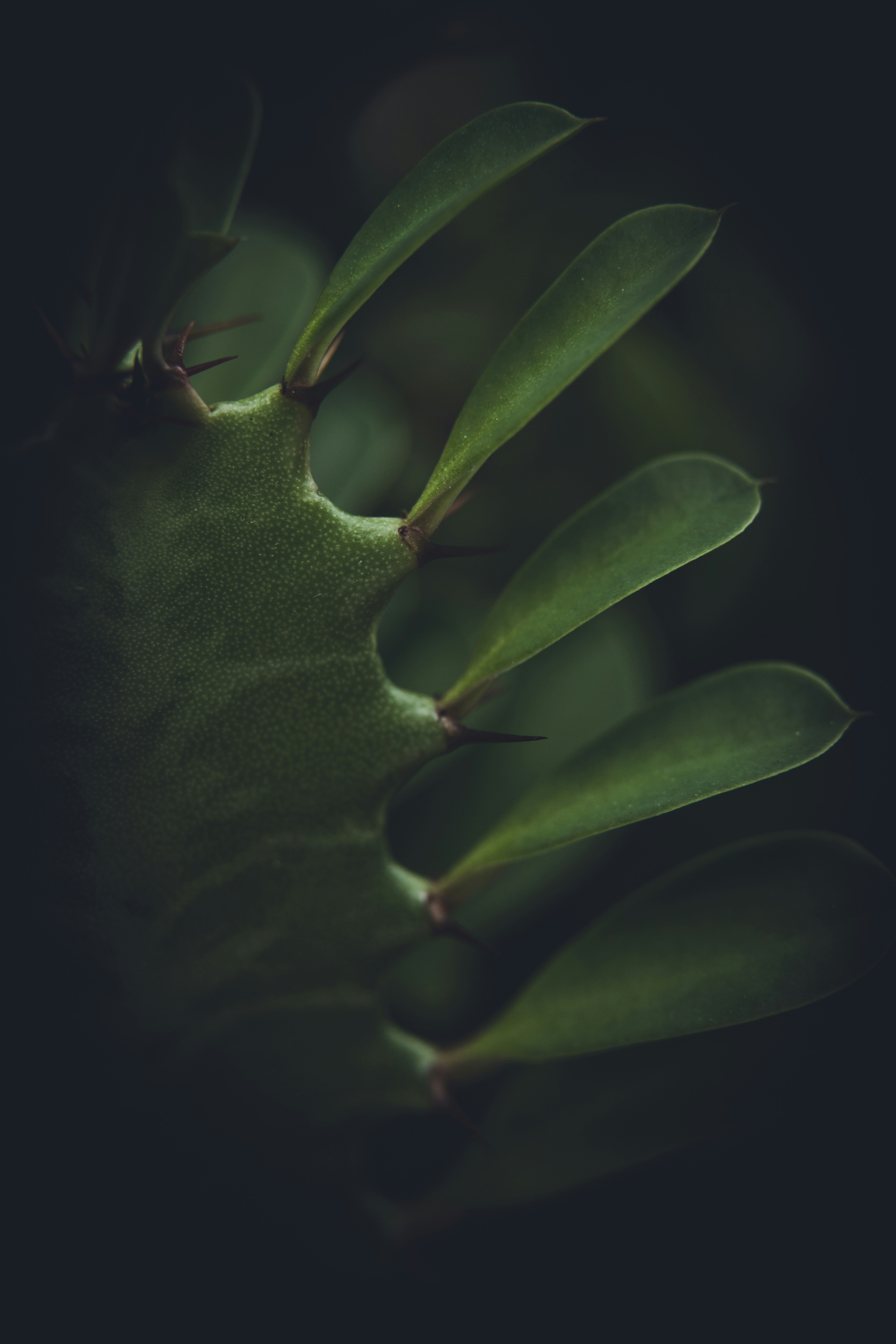 Photo by rrodriguesim