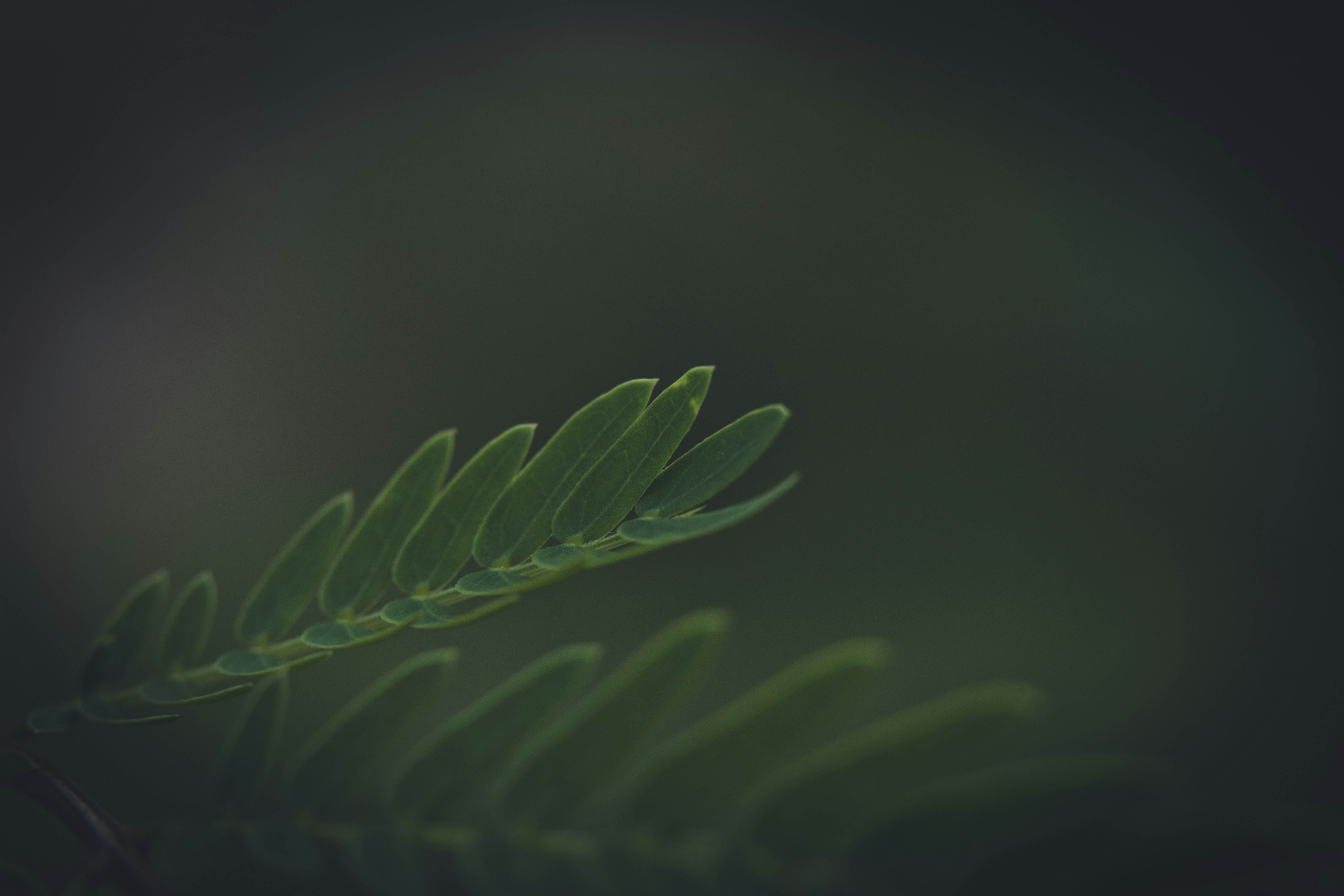 Photo by rrodriguesim