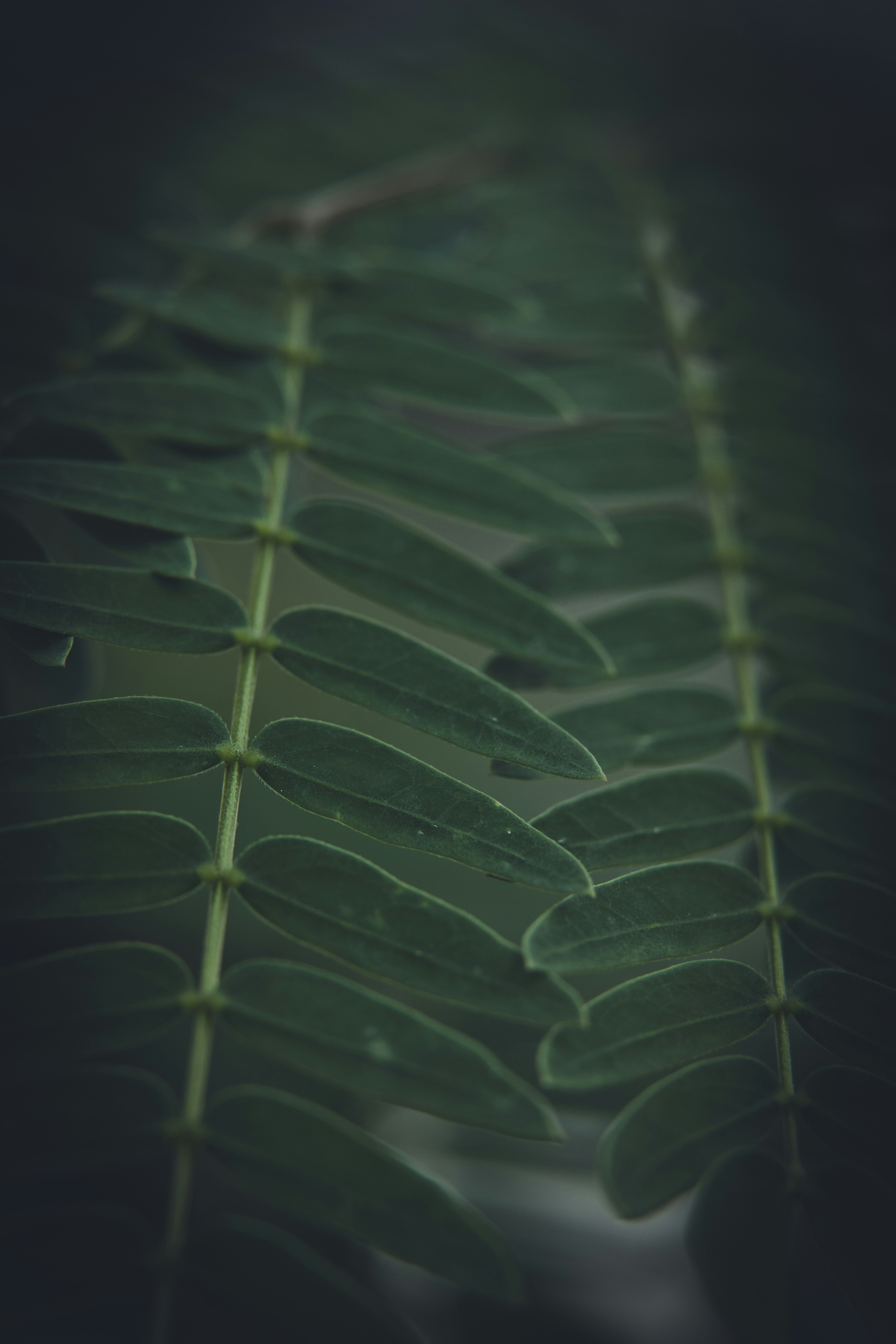 Photo by rrodriguesim