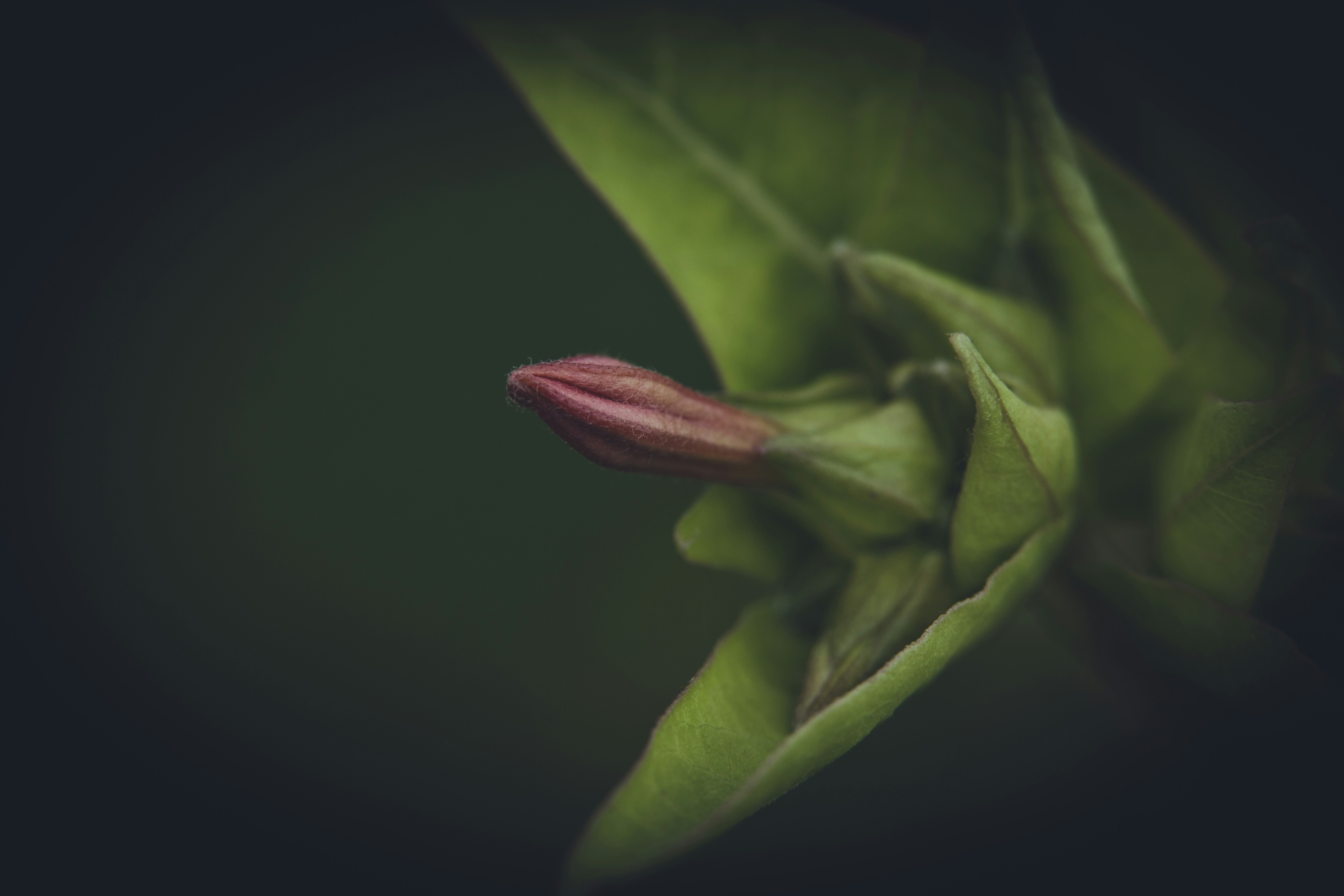 Photo by rrodriguesim