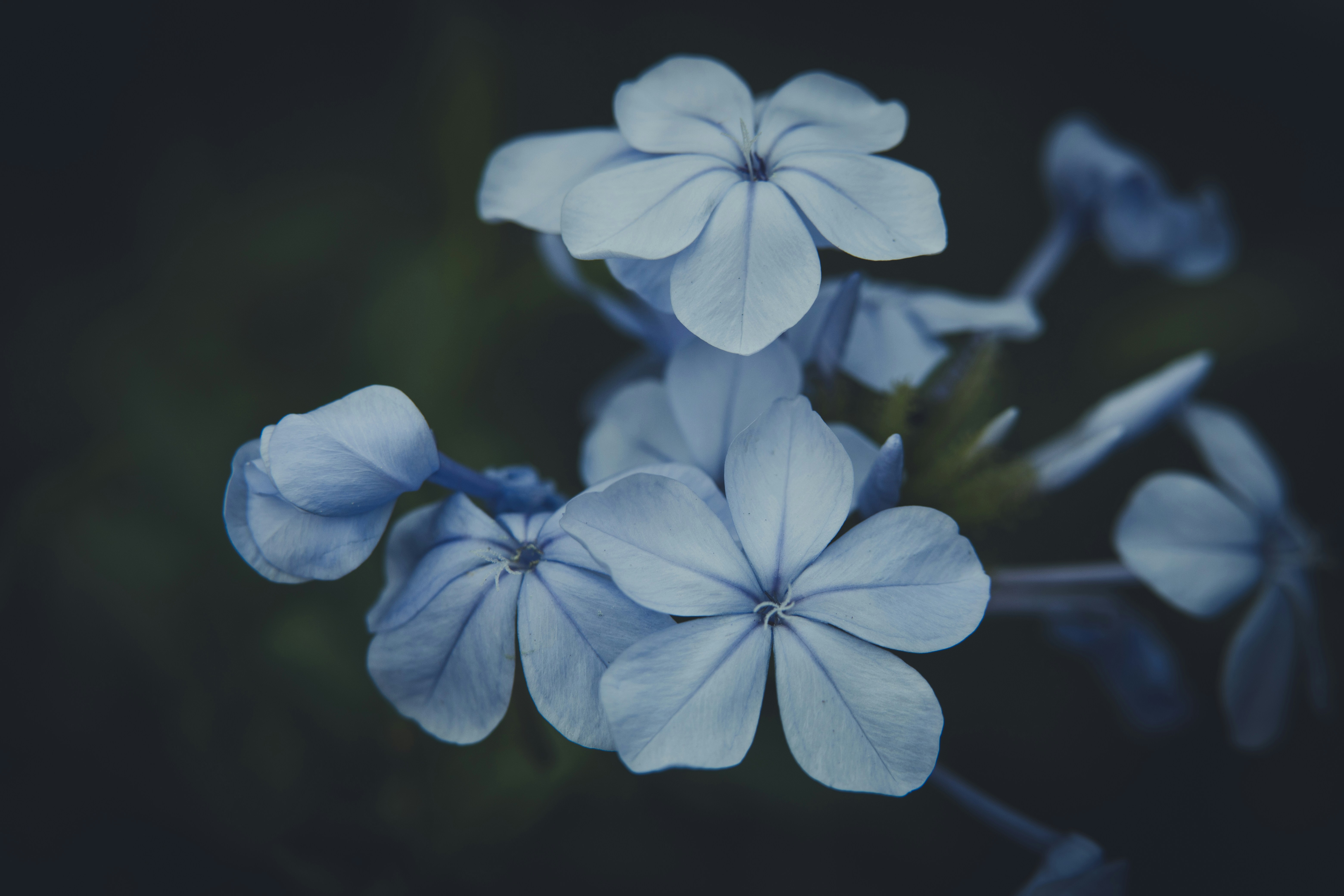 Photo by rrodriguesim