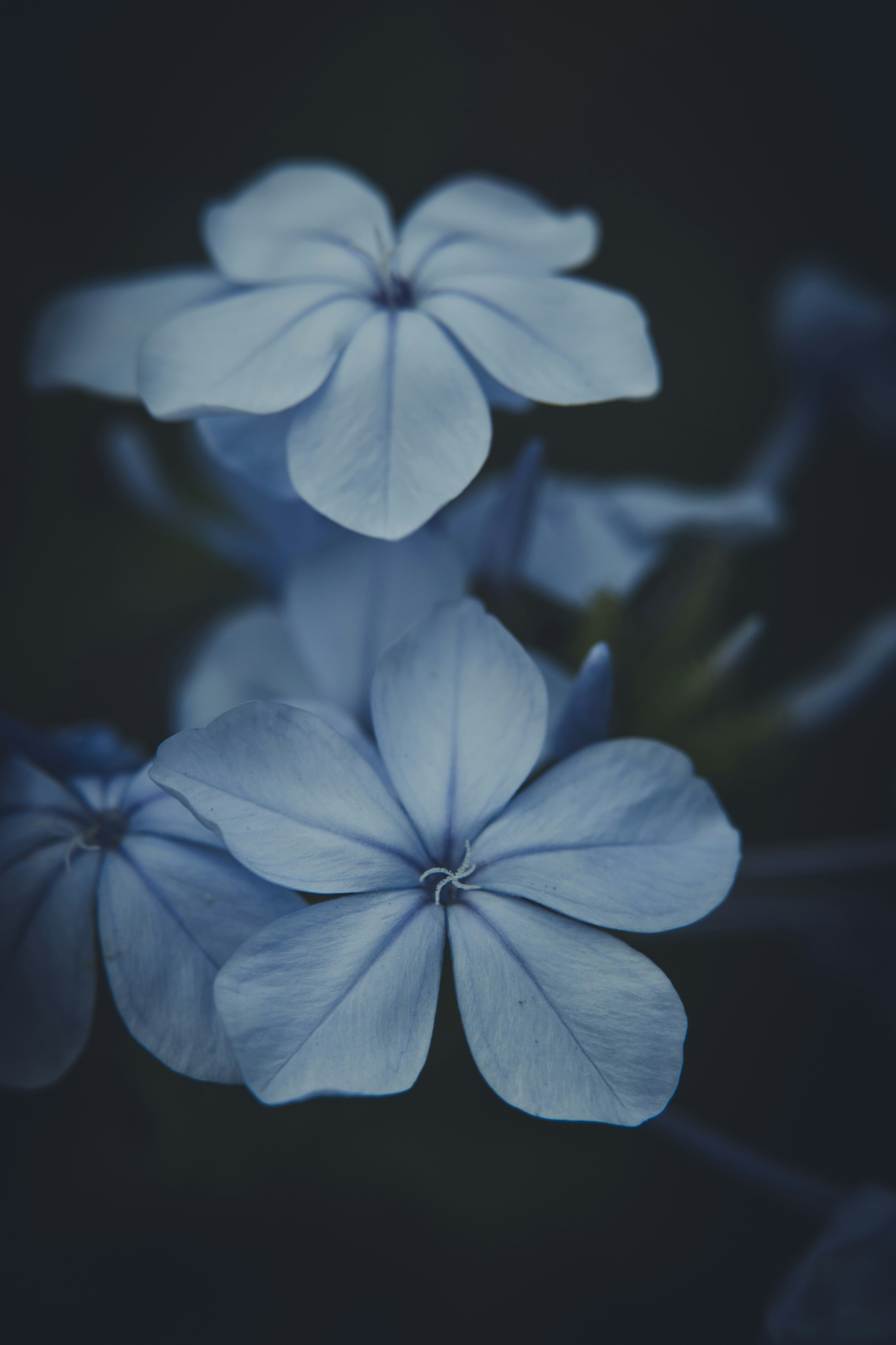 Photo by rrodriguesim