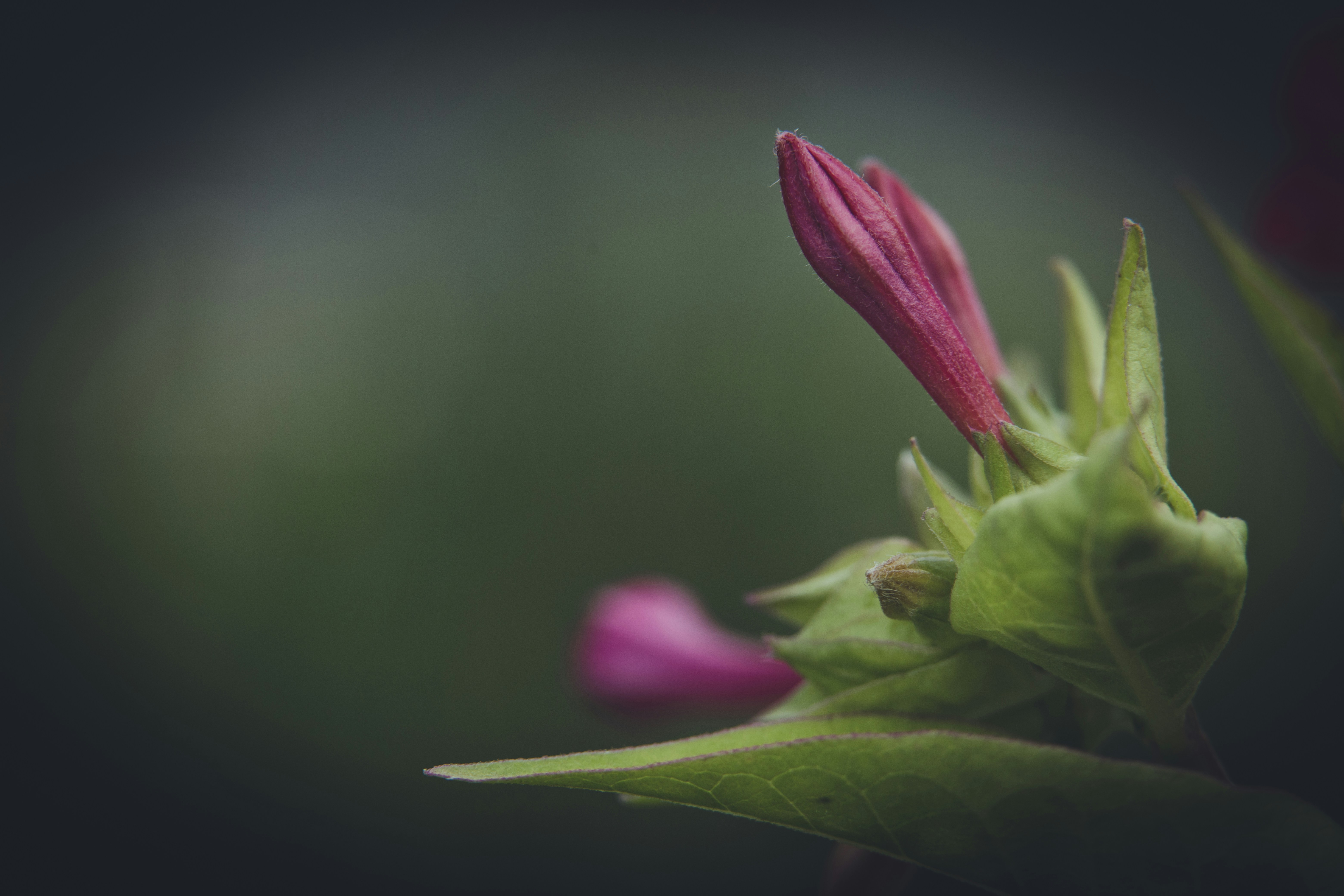 Photo by rrodriguesim