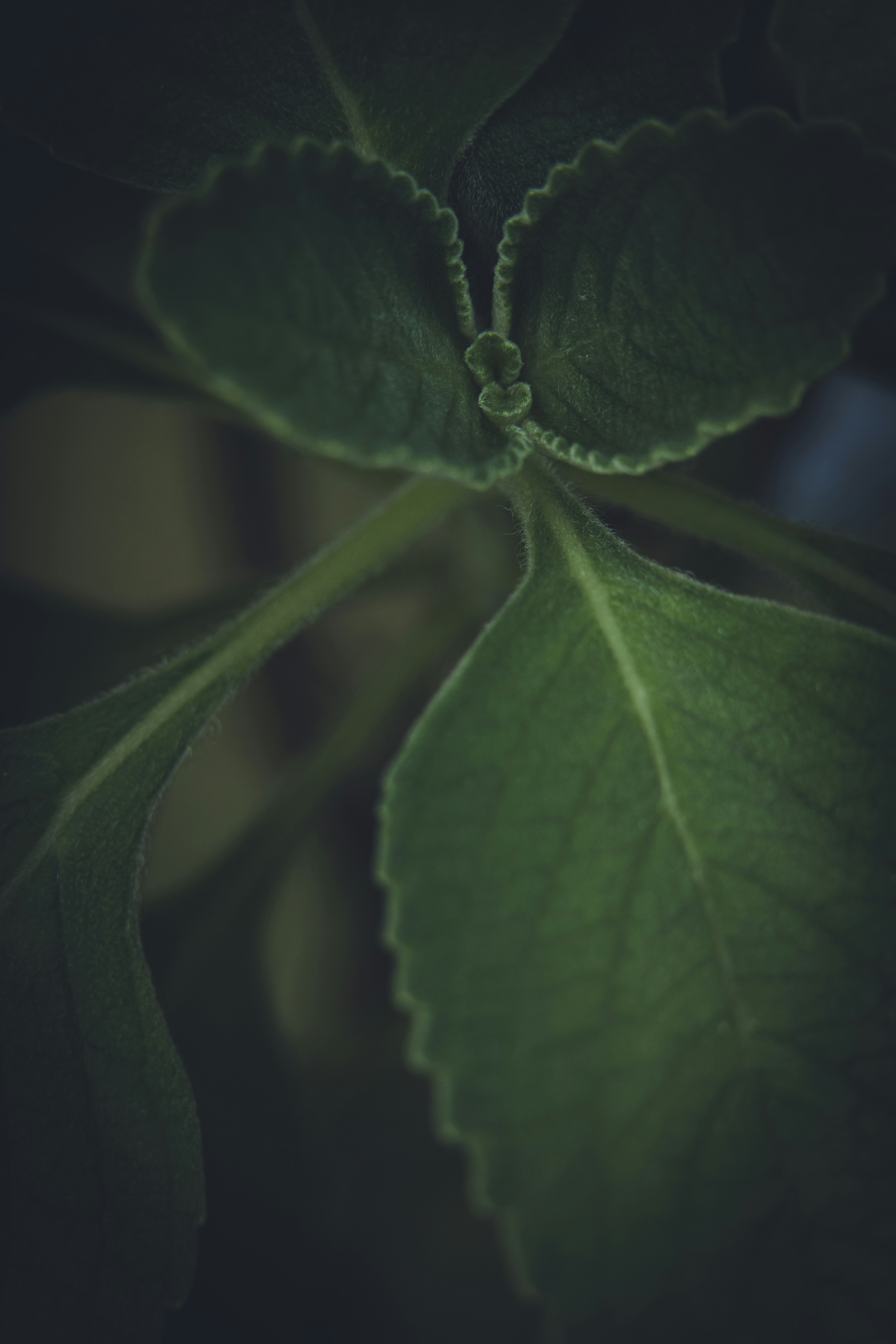 Photo by rrodriguesim