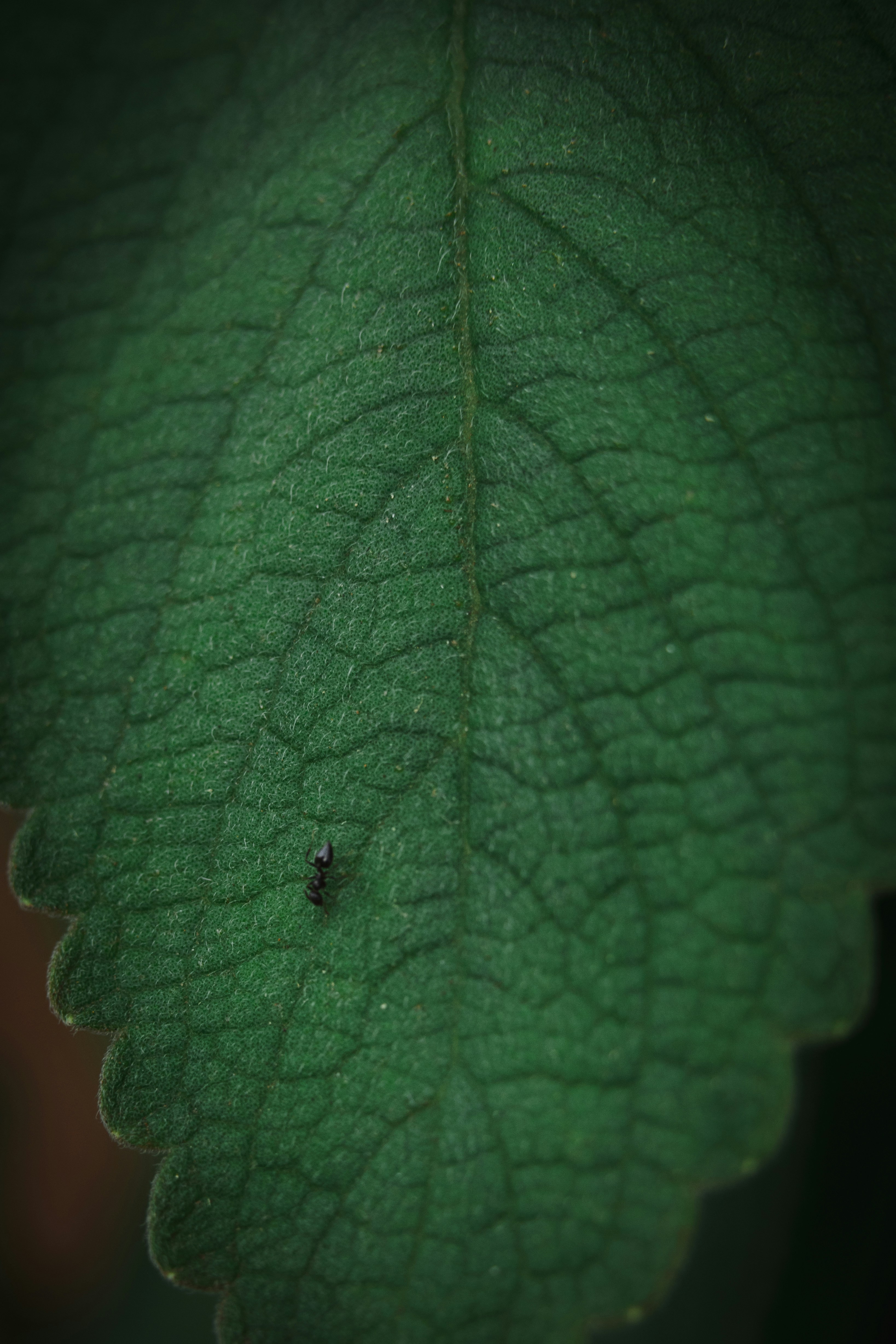 Photo by rrodriguesim