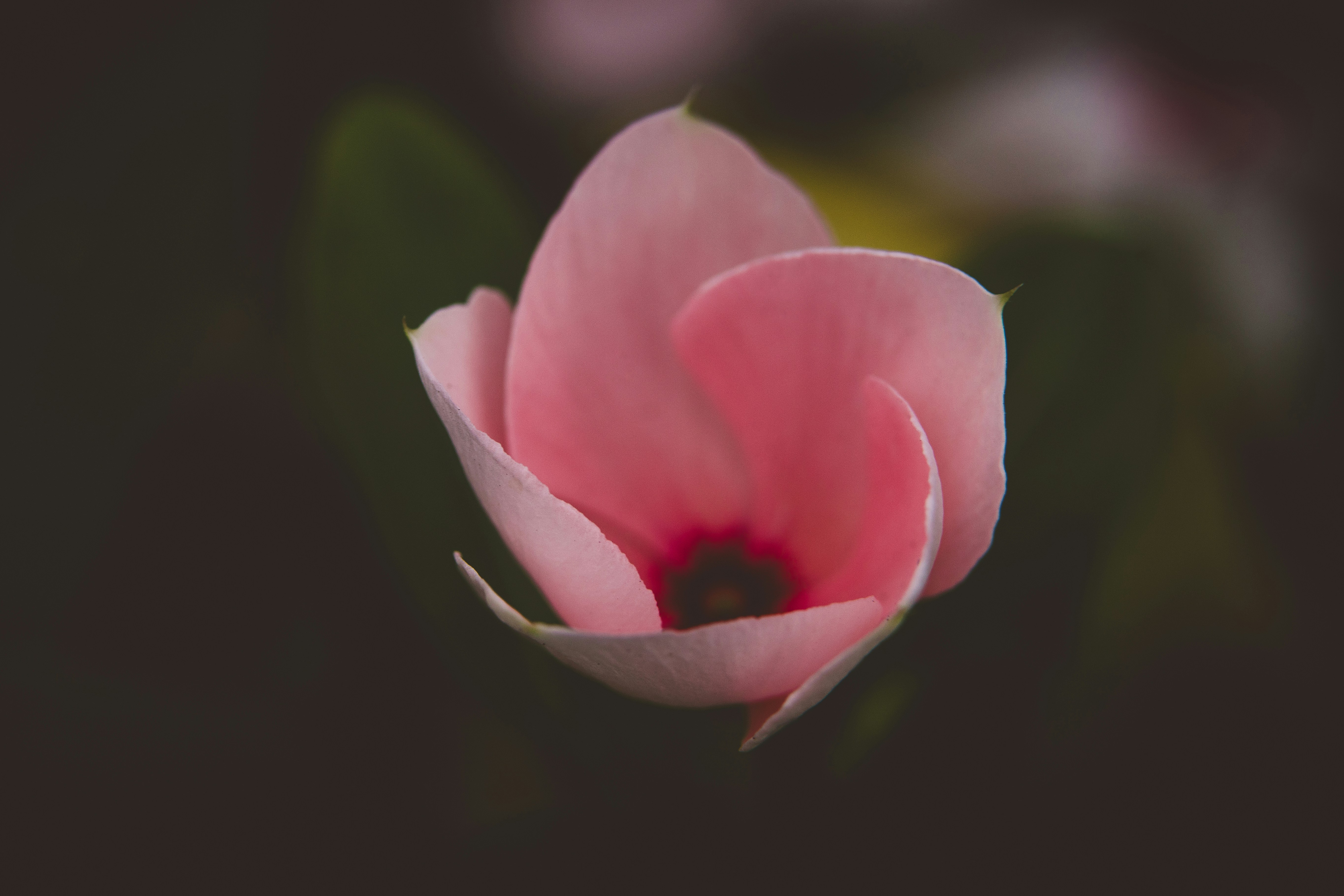 Photo by rrodriguesim