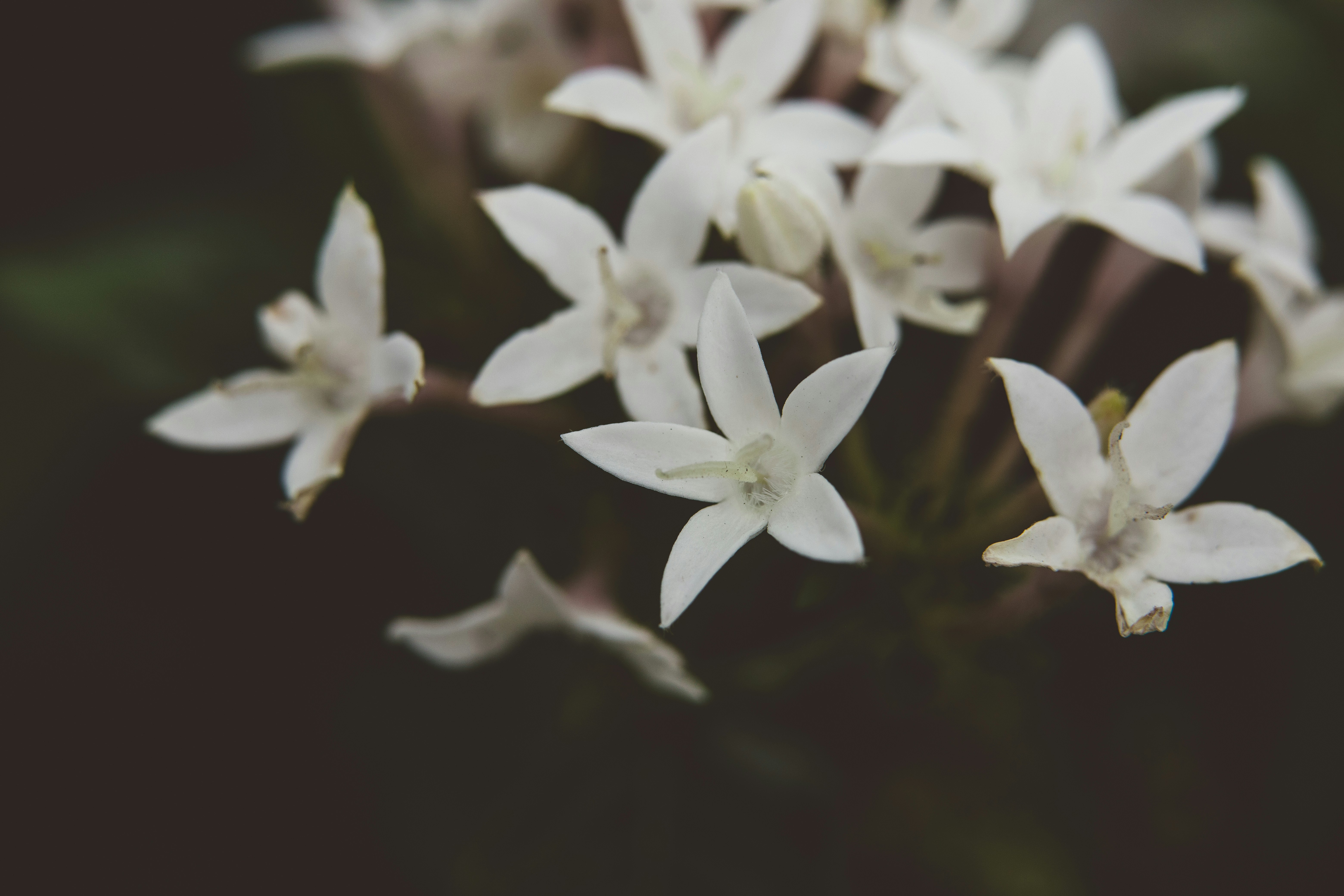 Photo by rrodriguesim