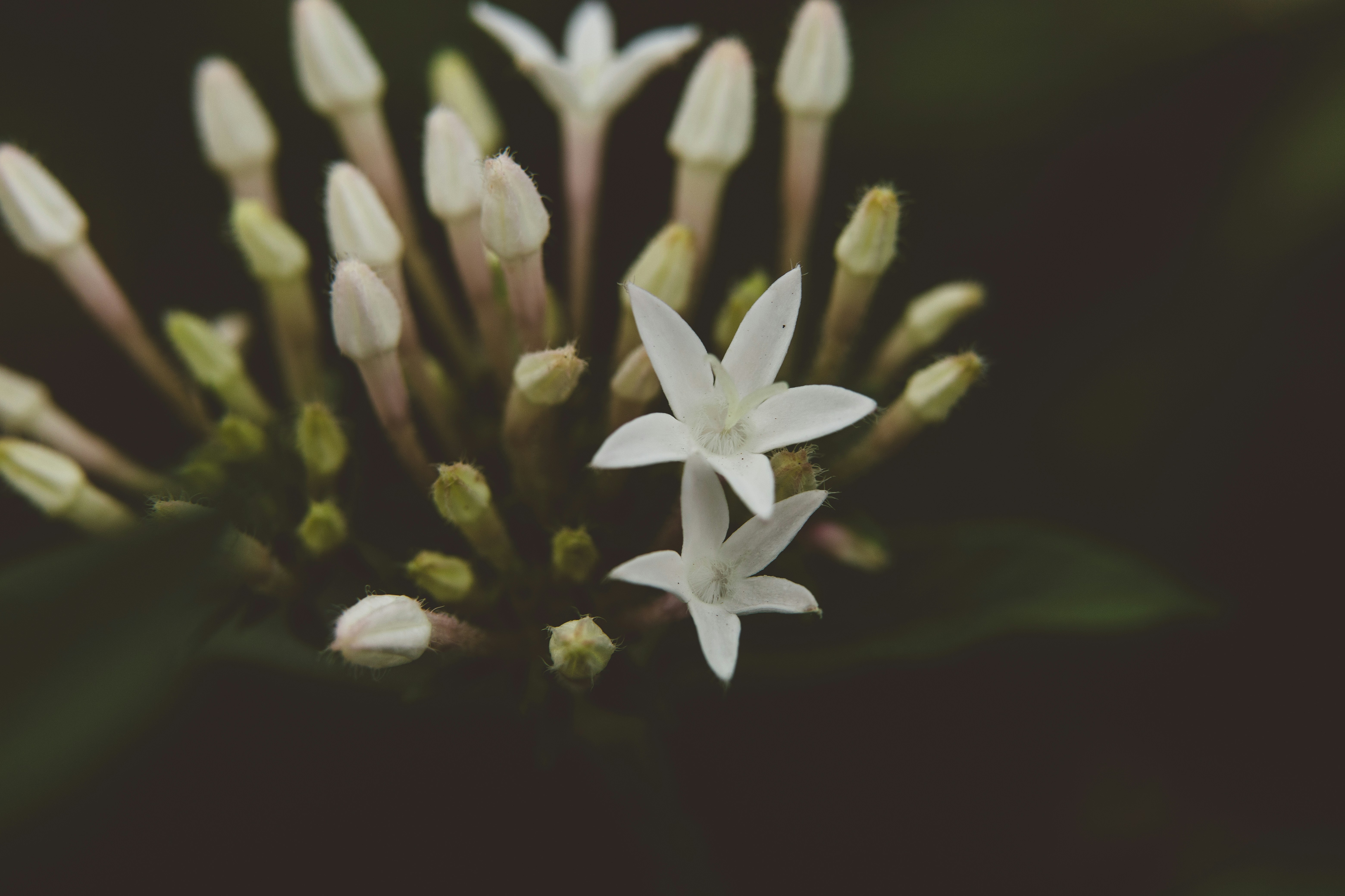 Photo by rrodriguesim