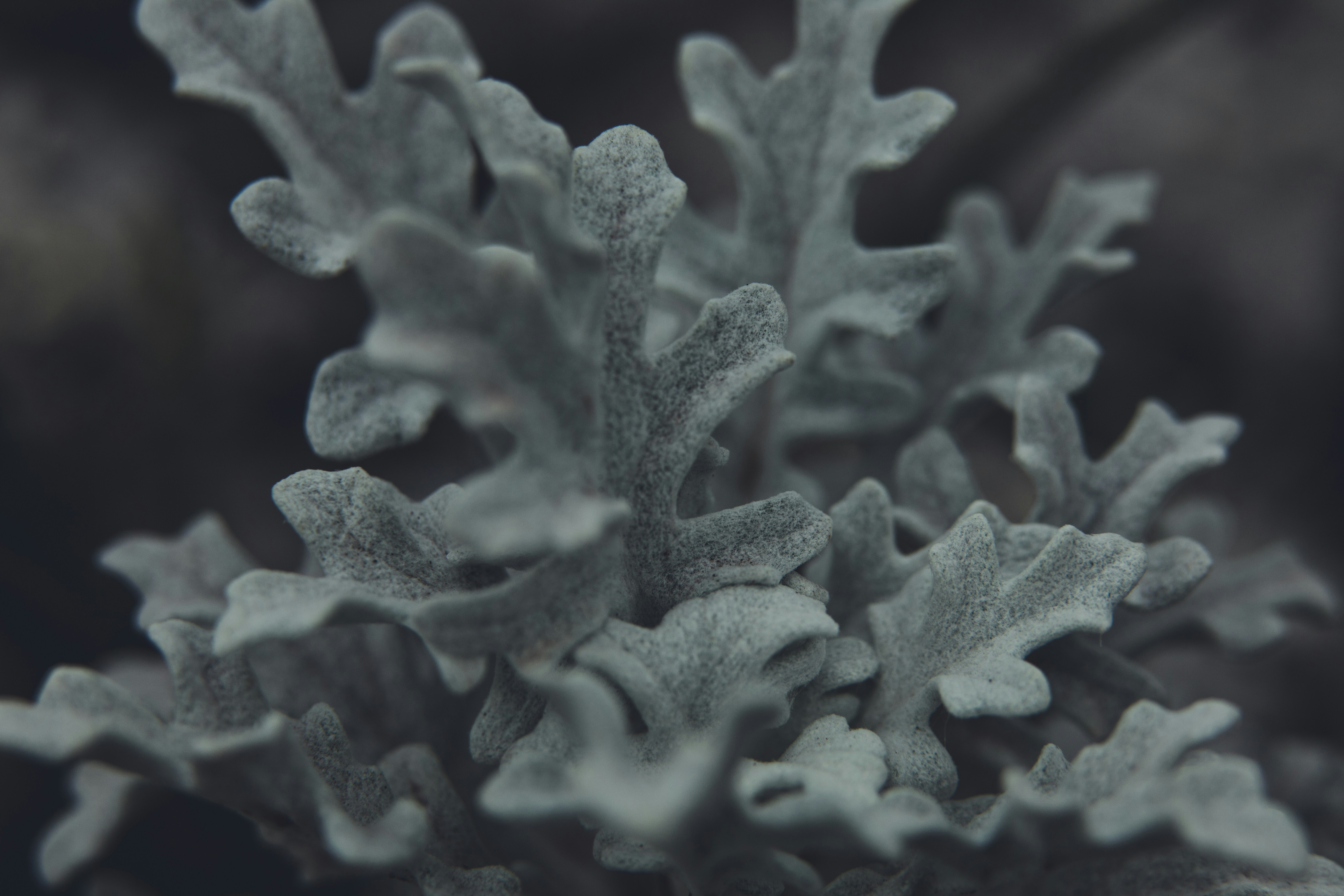 Photo by rrodriguesim