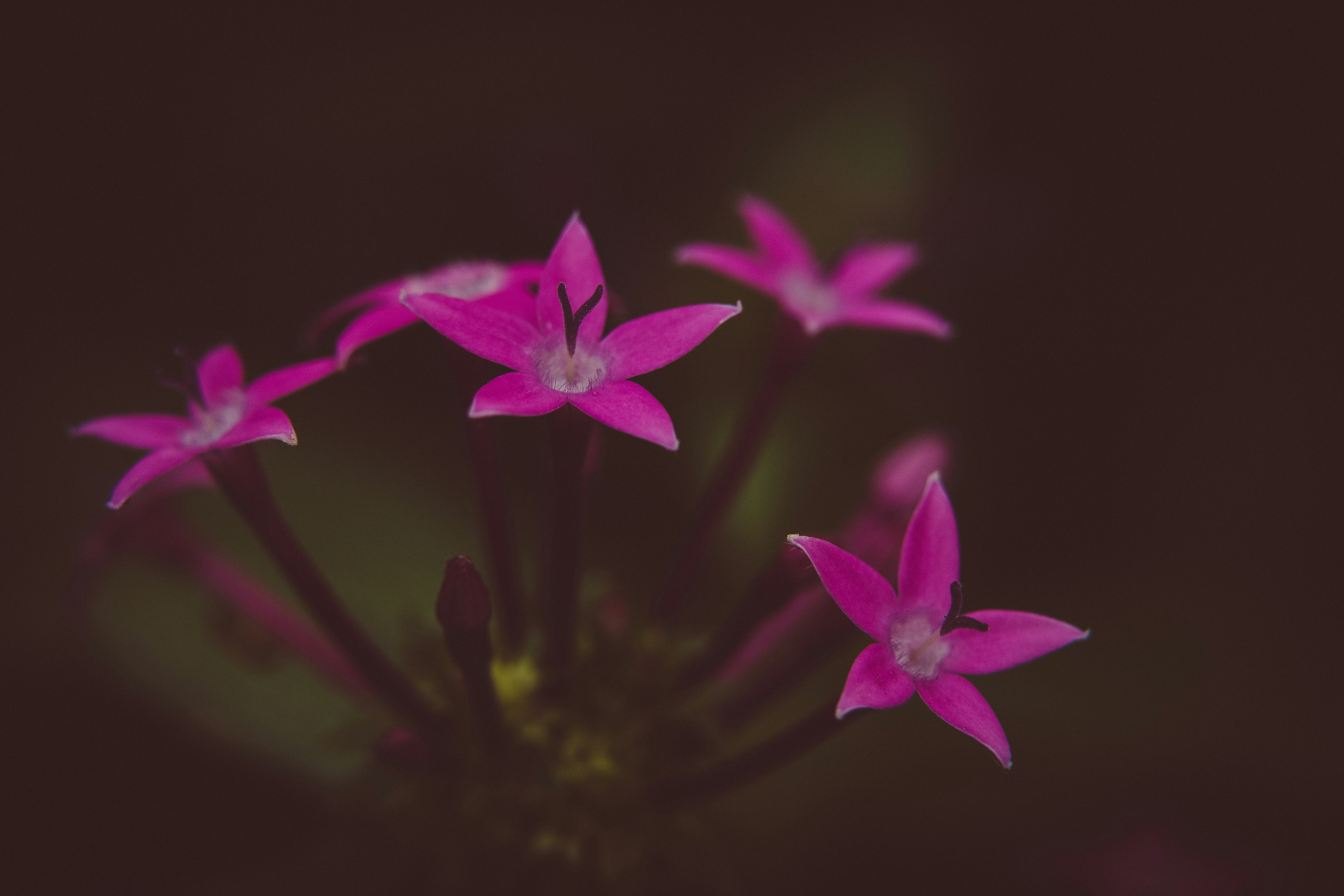 Photo by rrodriguesim