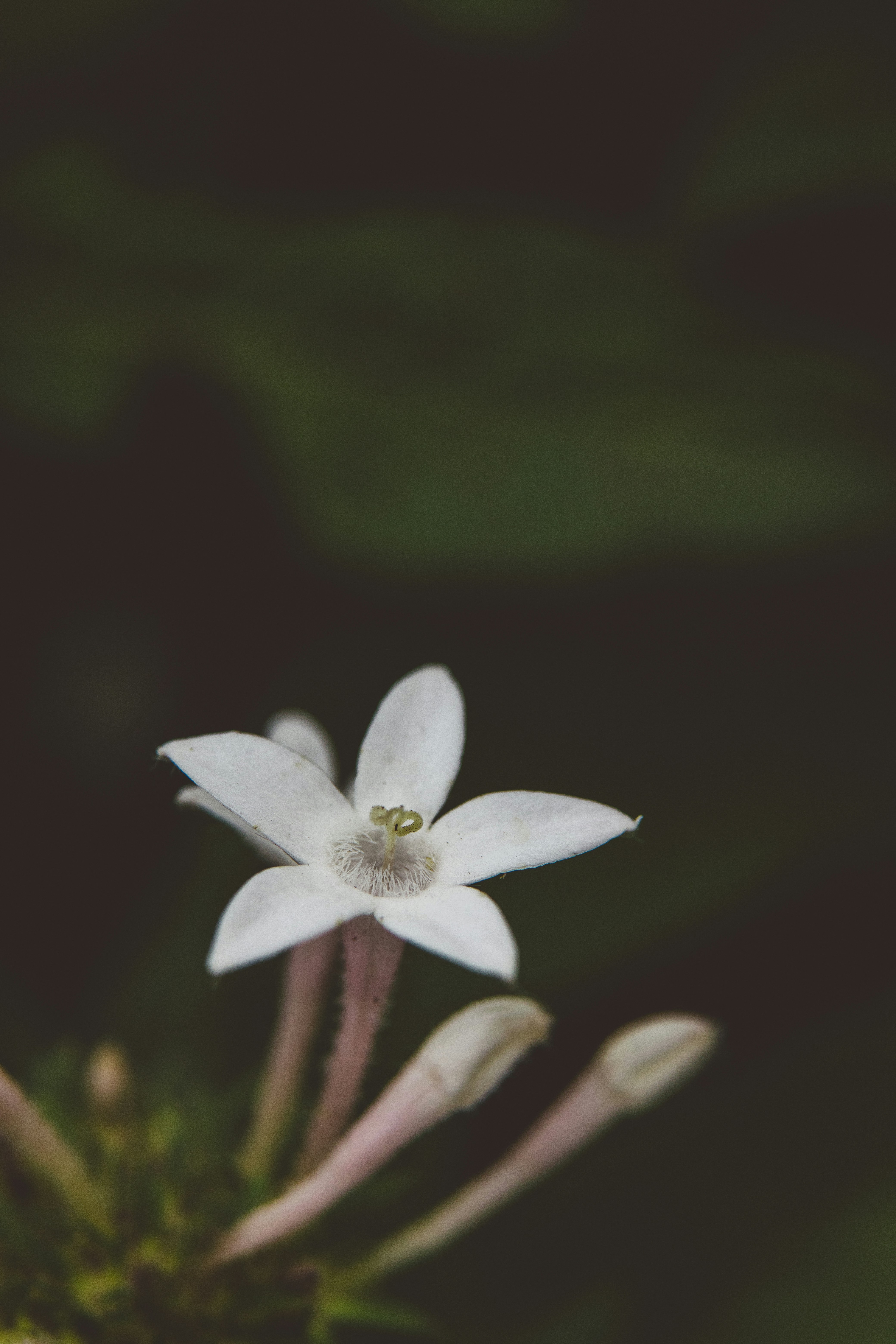 Photo by rrodriguesim