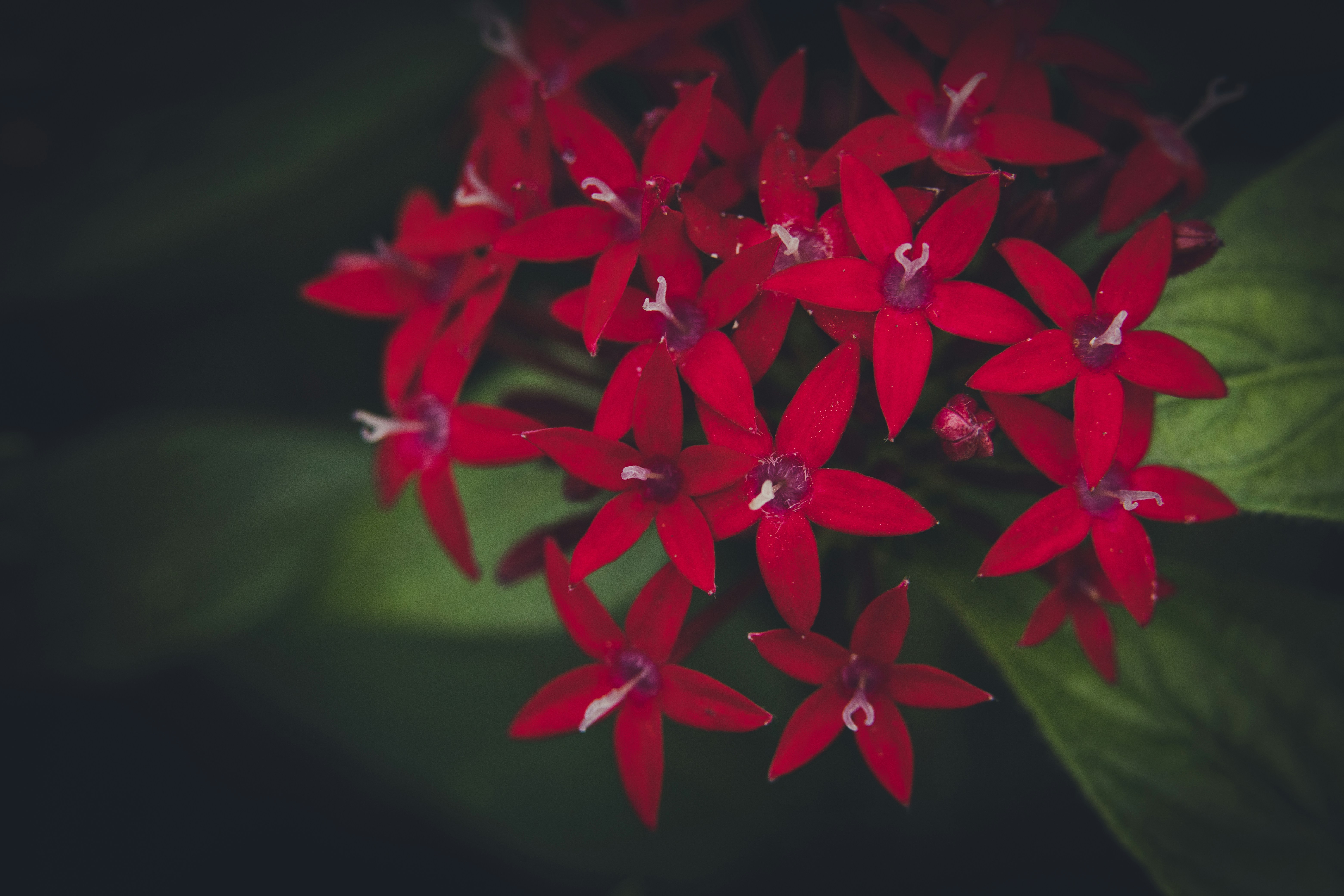 Photo by rrodriguesim