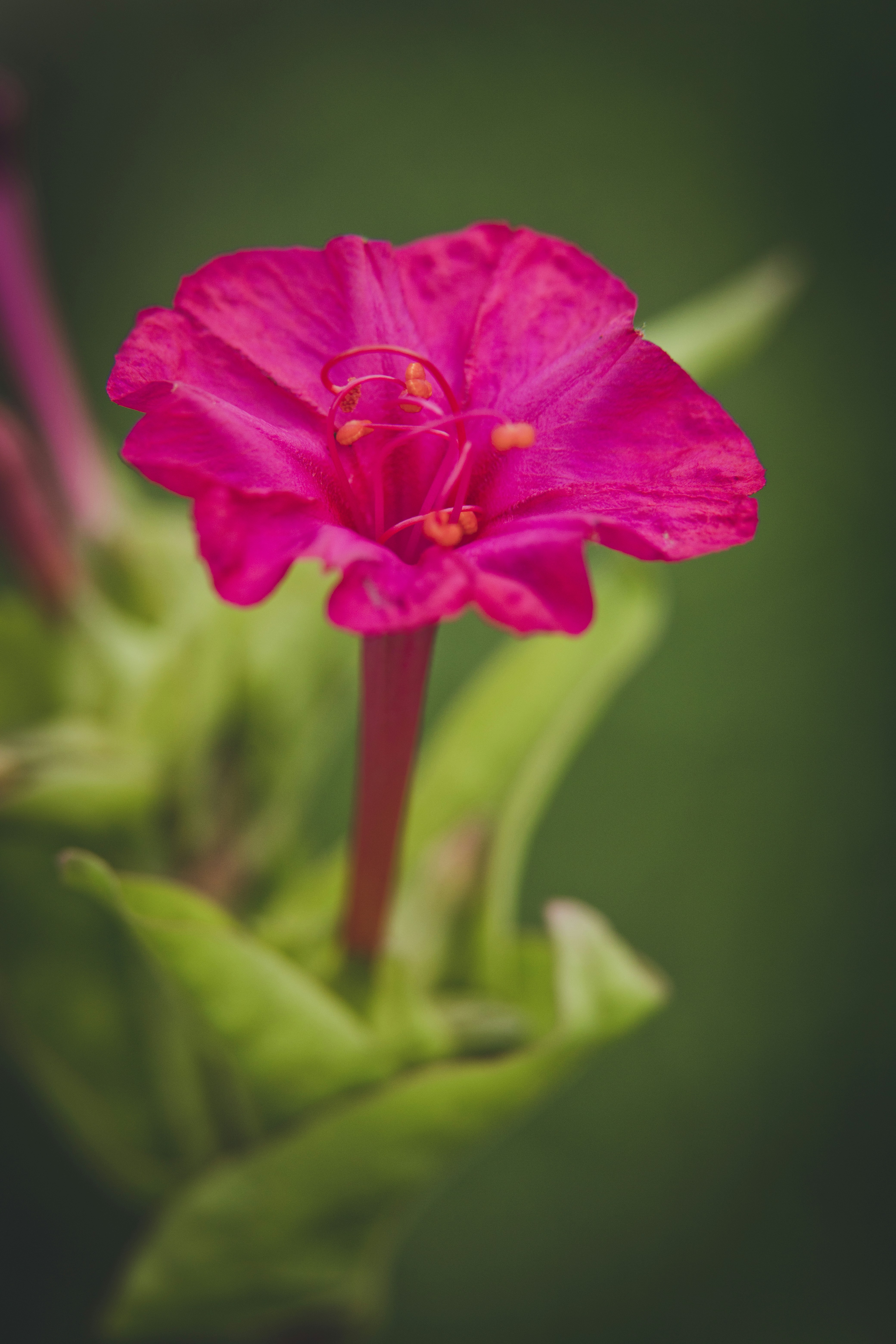 Photo by rrodriguesim