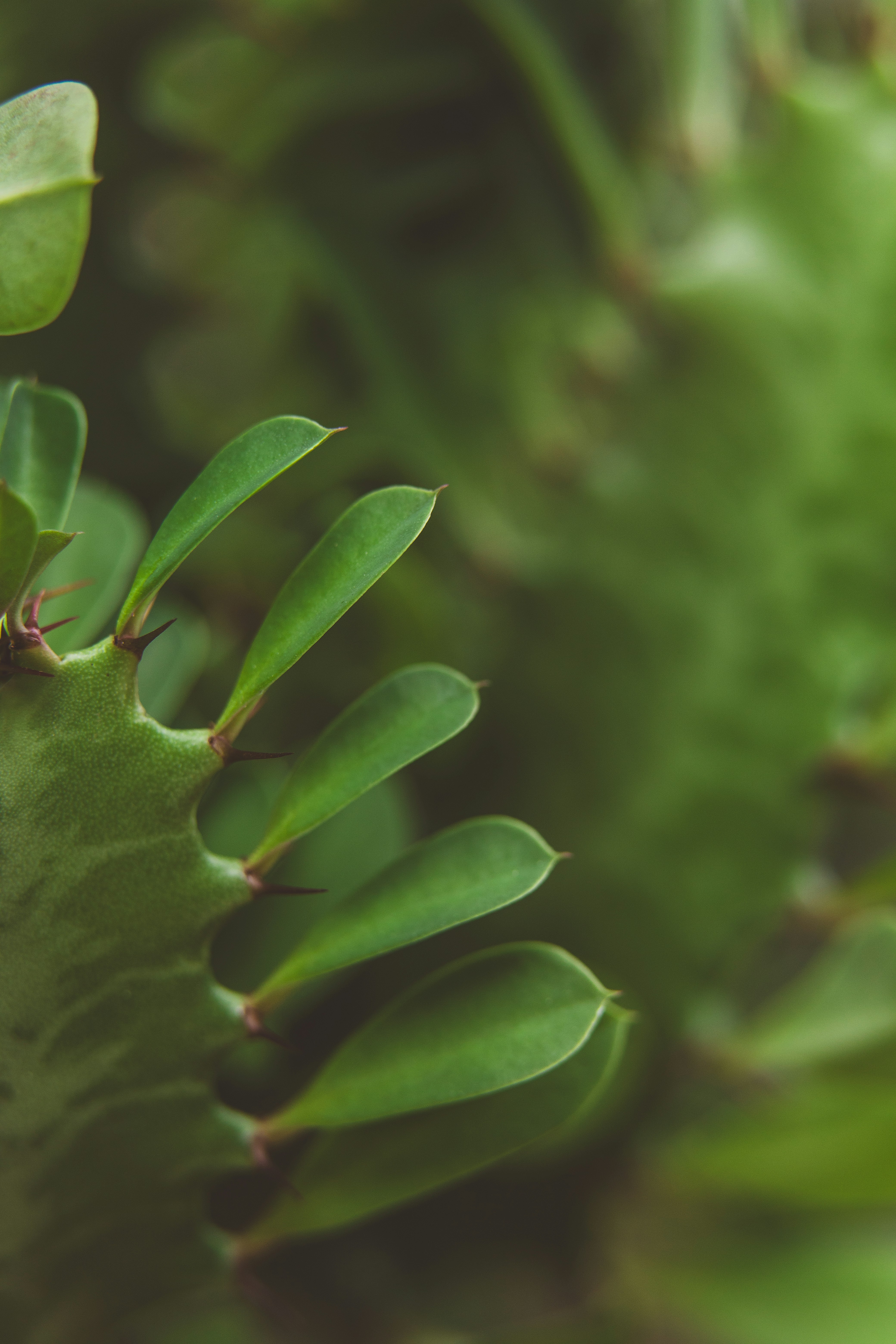 Photo by rrodriguesim