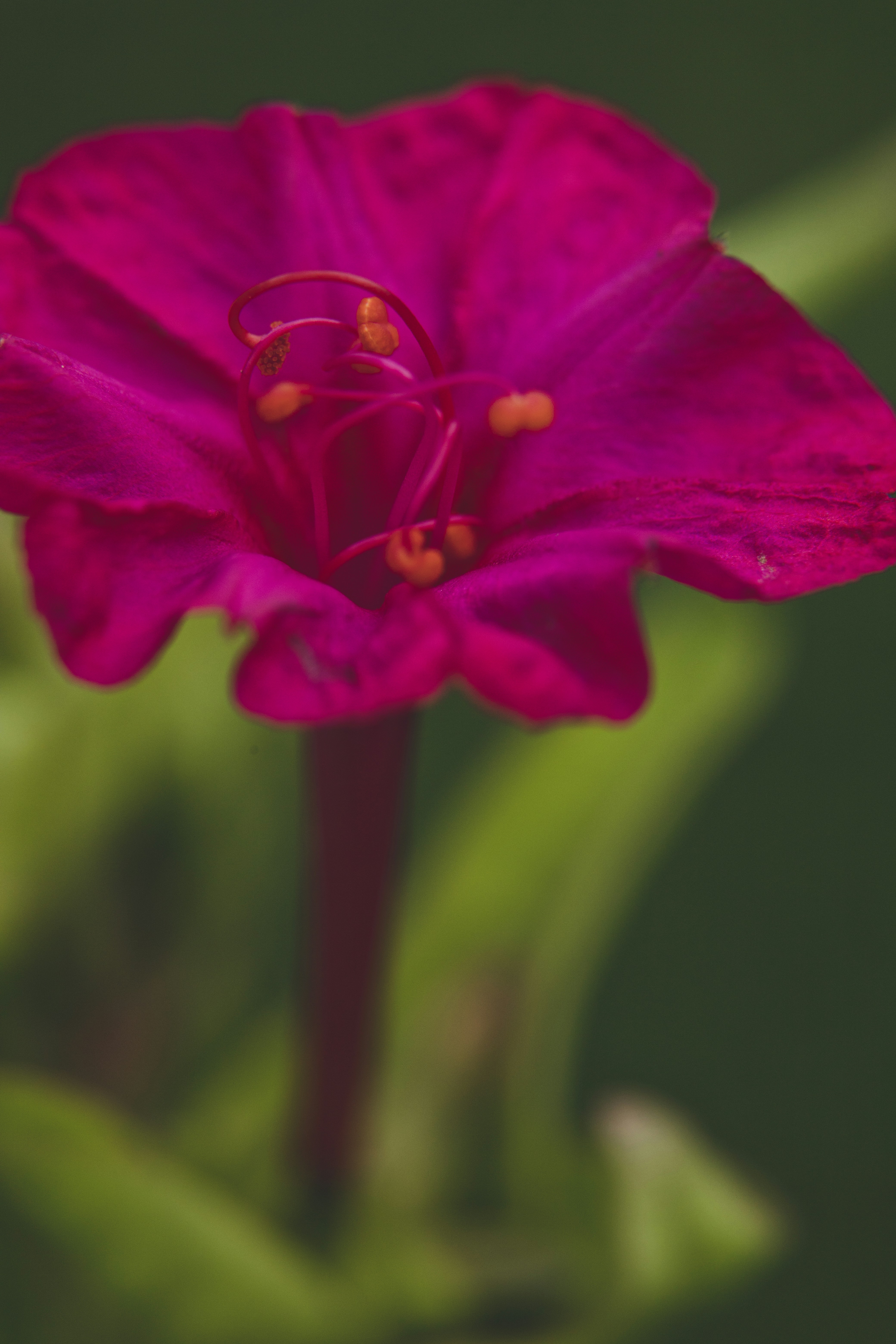 Photo by rrodriguesim