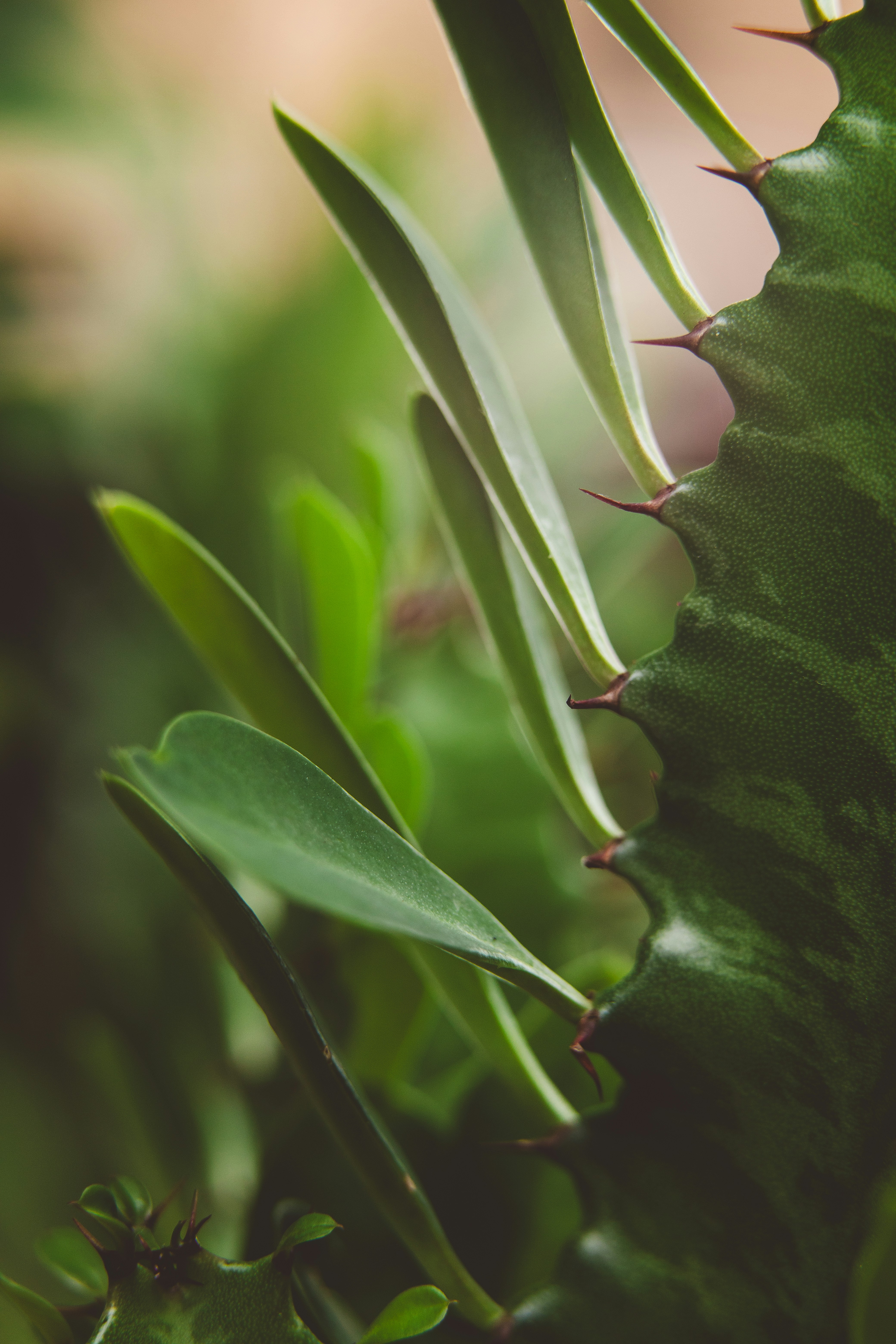 Photo by rrodriguesim