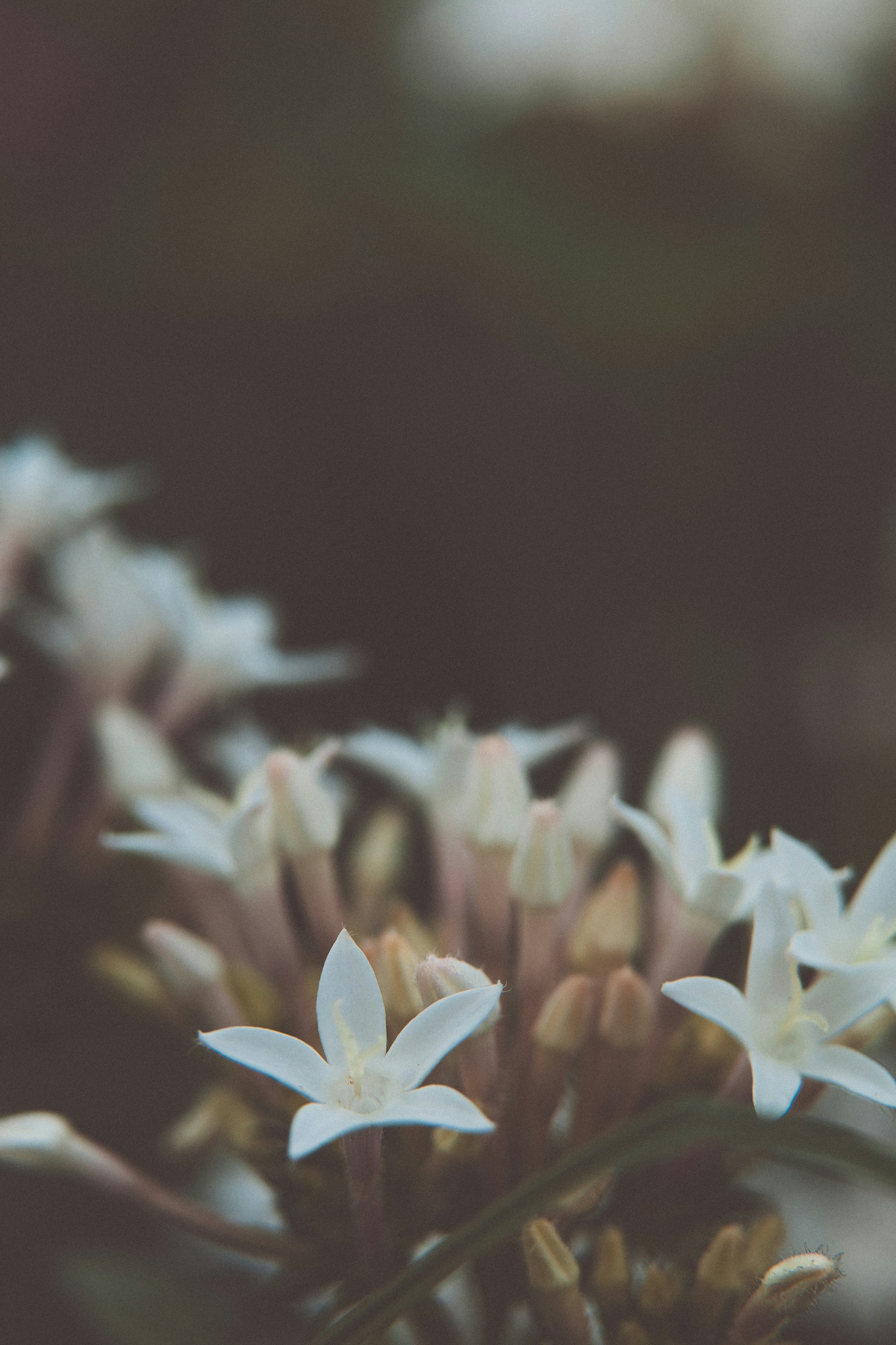 Photo by rrodriguesim