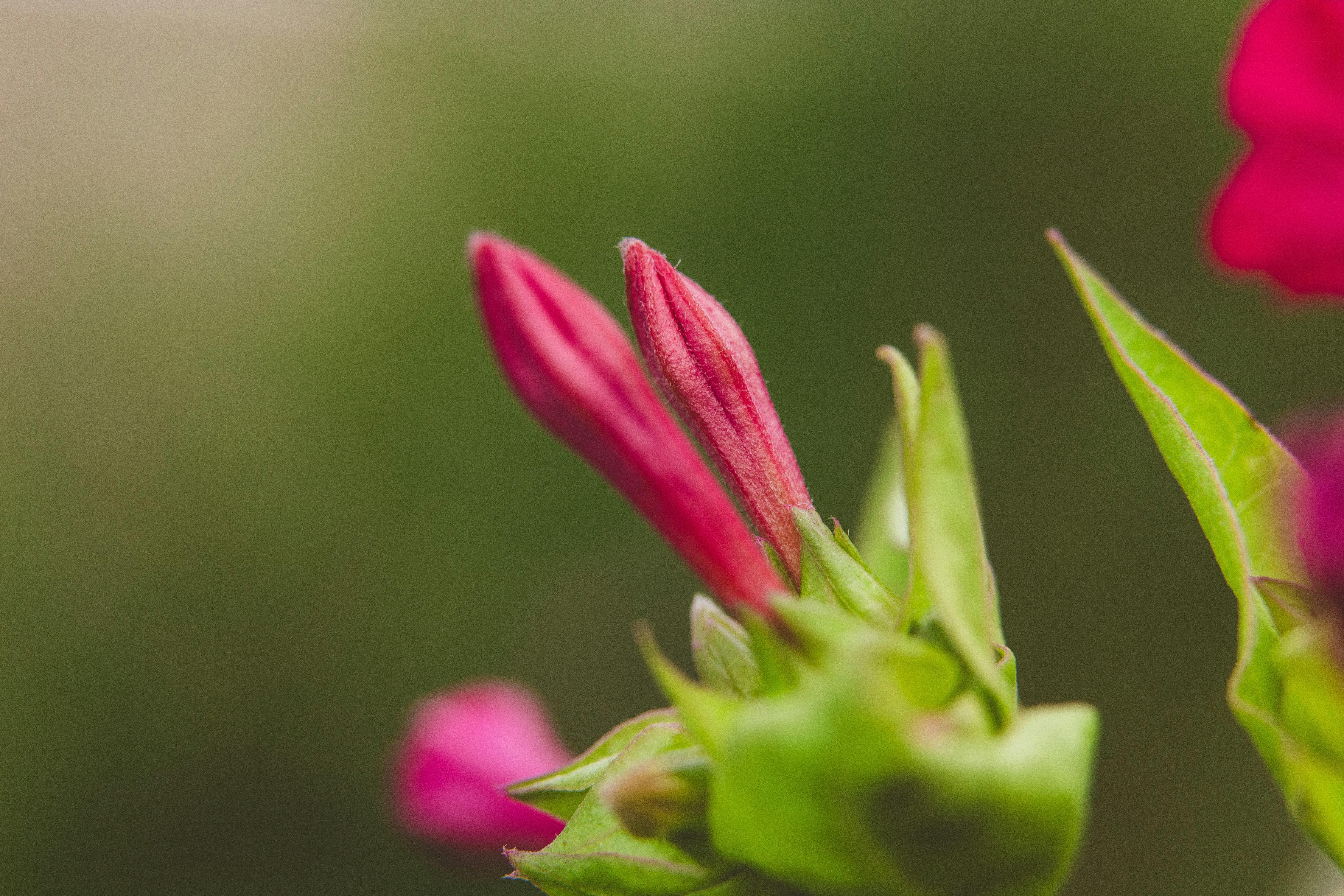 Photo by rrodriguesim