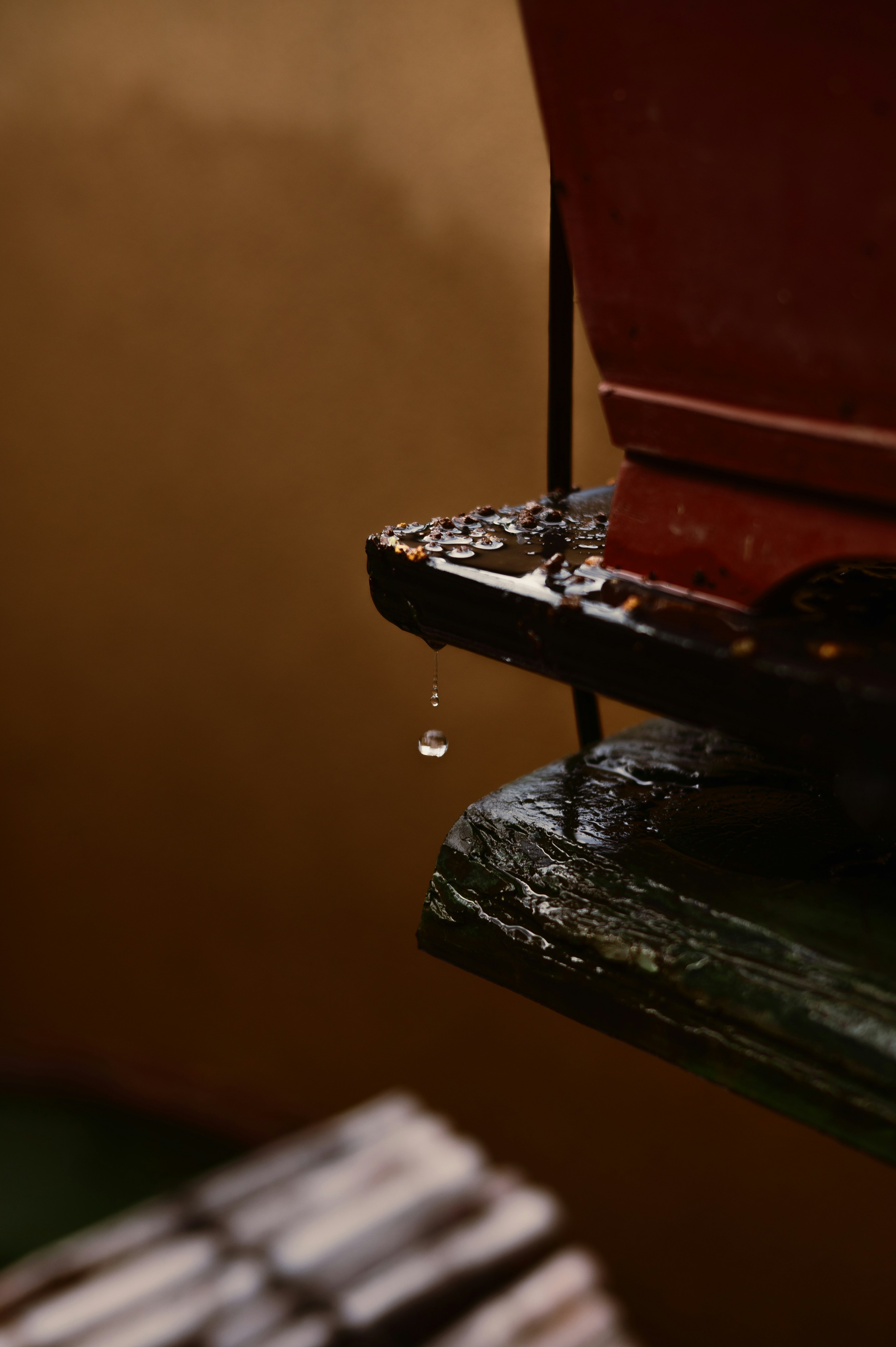 Photo by ryunosuke_kikuno