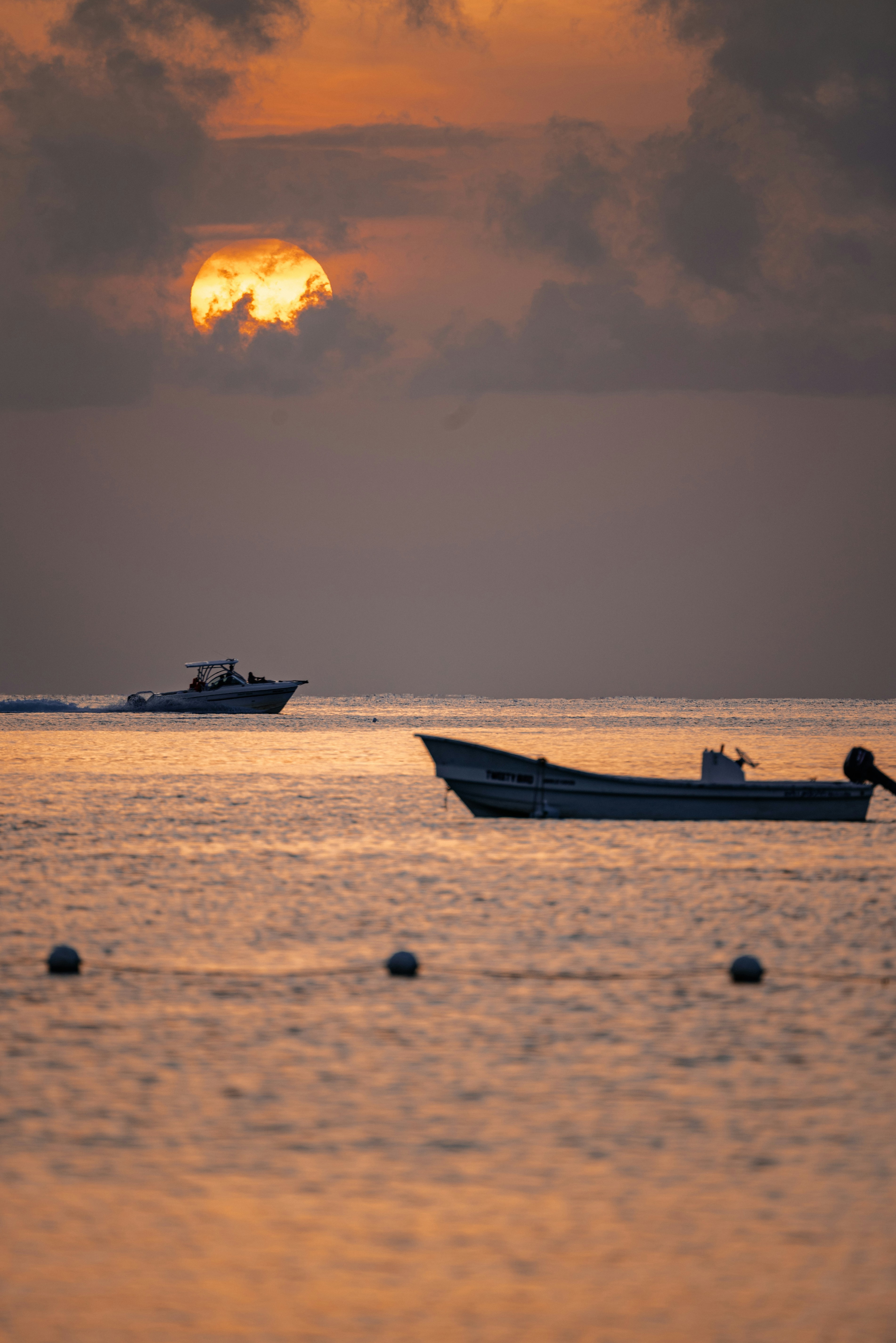 Photo by miekelauren