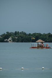 a boat with a thatched roof in the middle of a lake