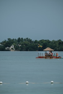a boat with a thatched roof in the middle of a lake