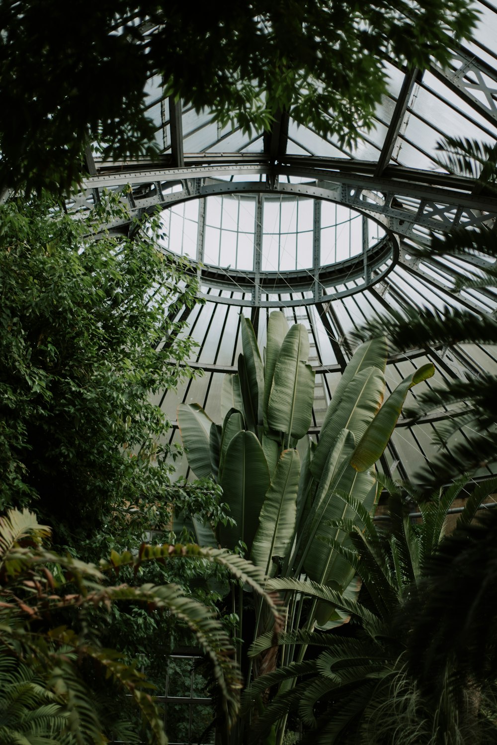 the inside of a greenhouse with lots of trees and plants