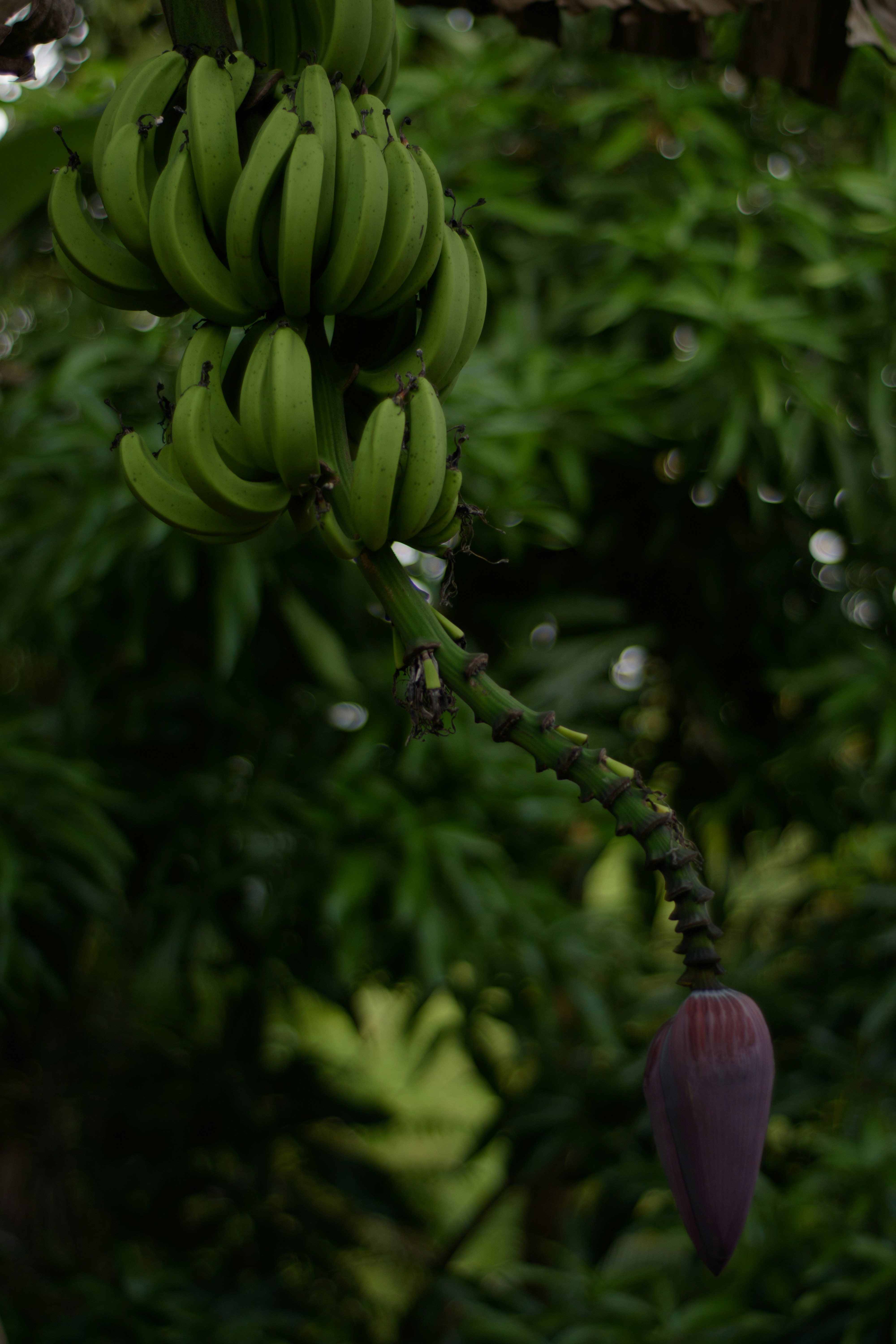 Photo by miekelauren