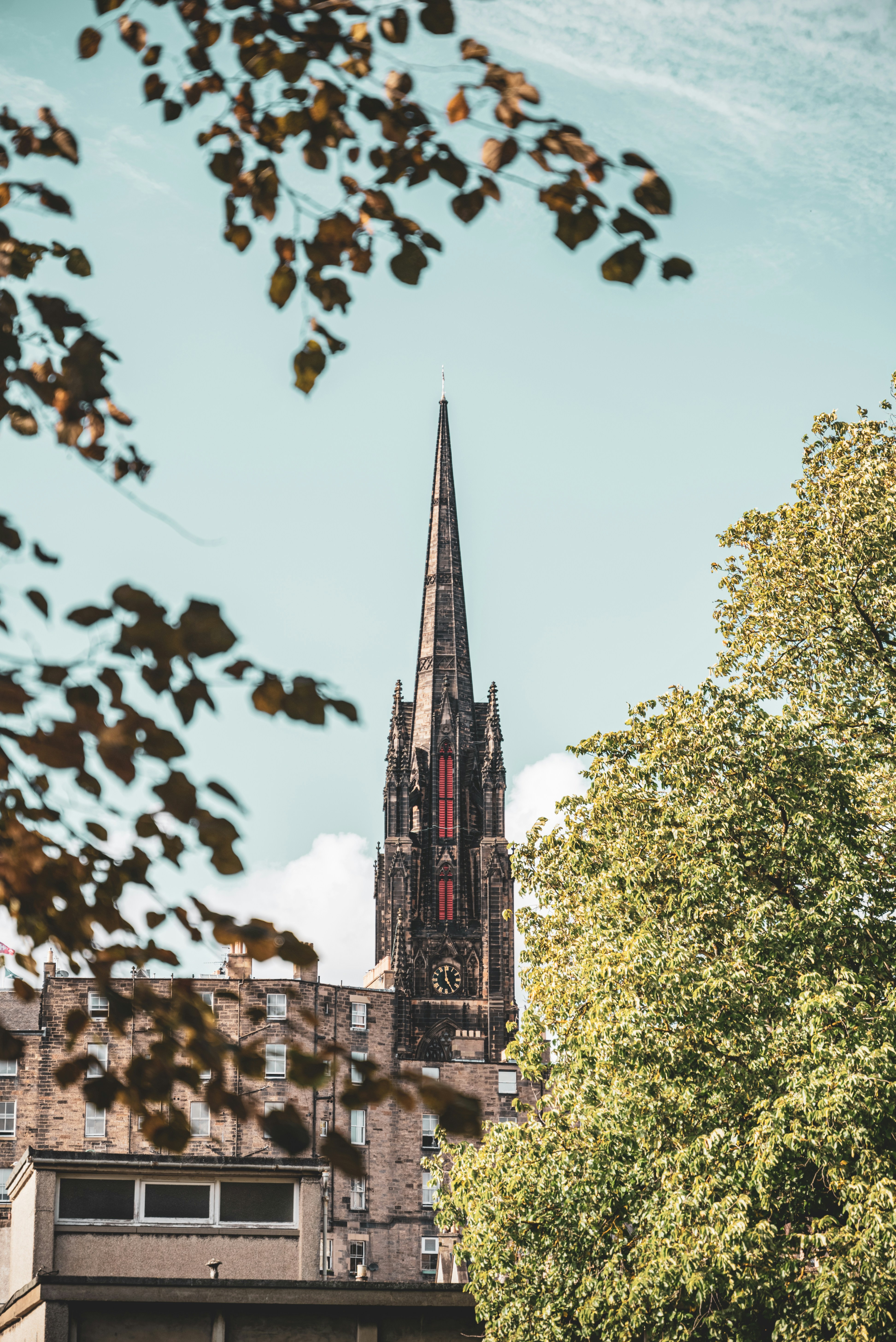 Photo by miekelauren