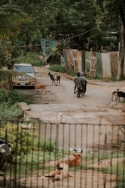 a man riding a motorcycle down a dirt road