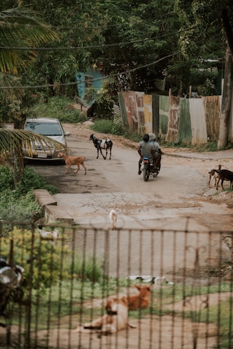 a man riding a motorcycle down a dirt road