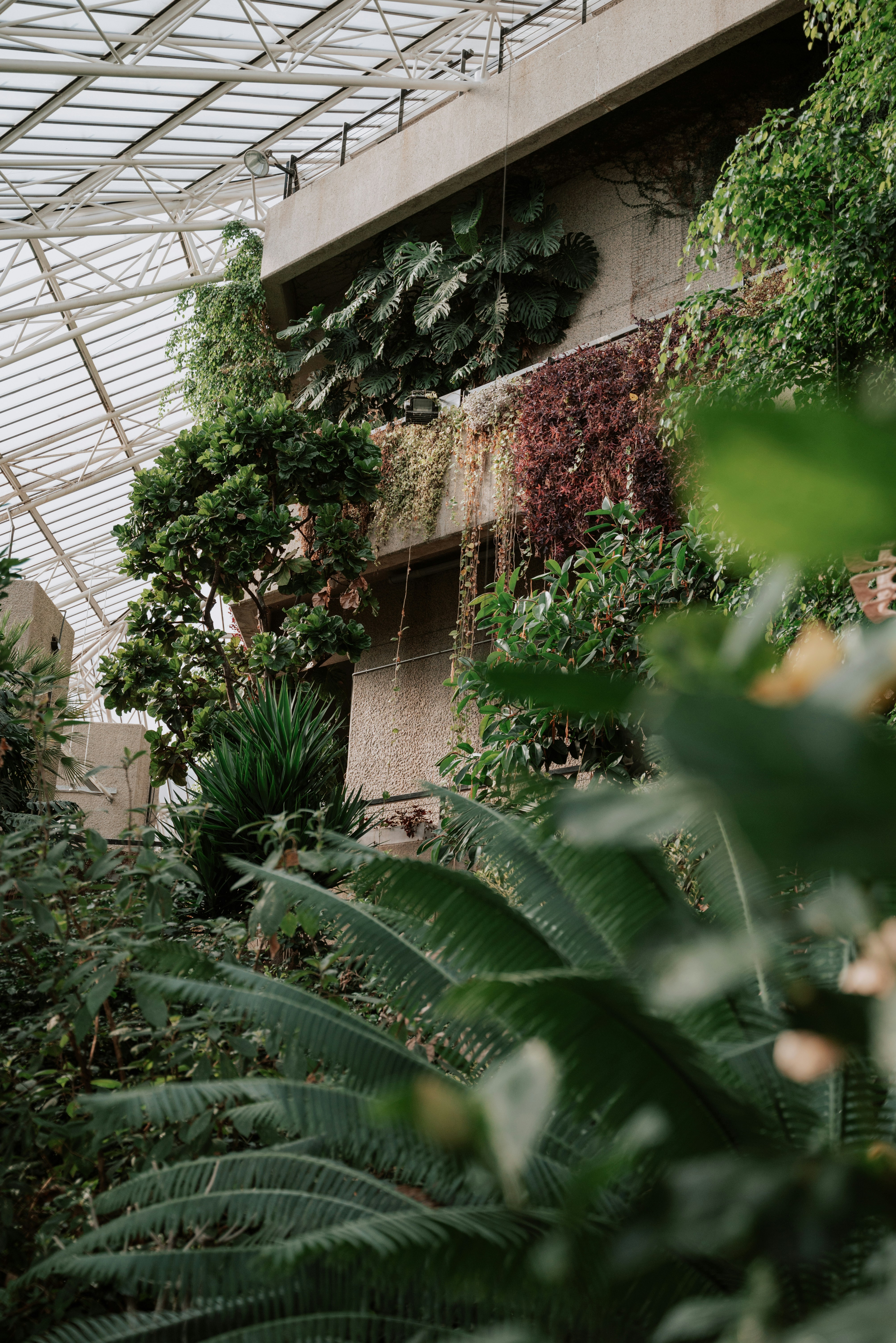 Photo by miekelauren