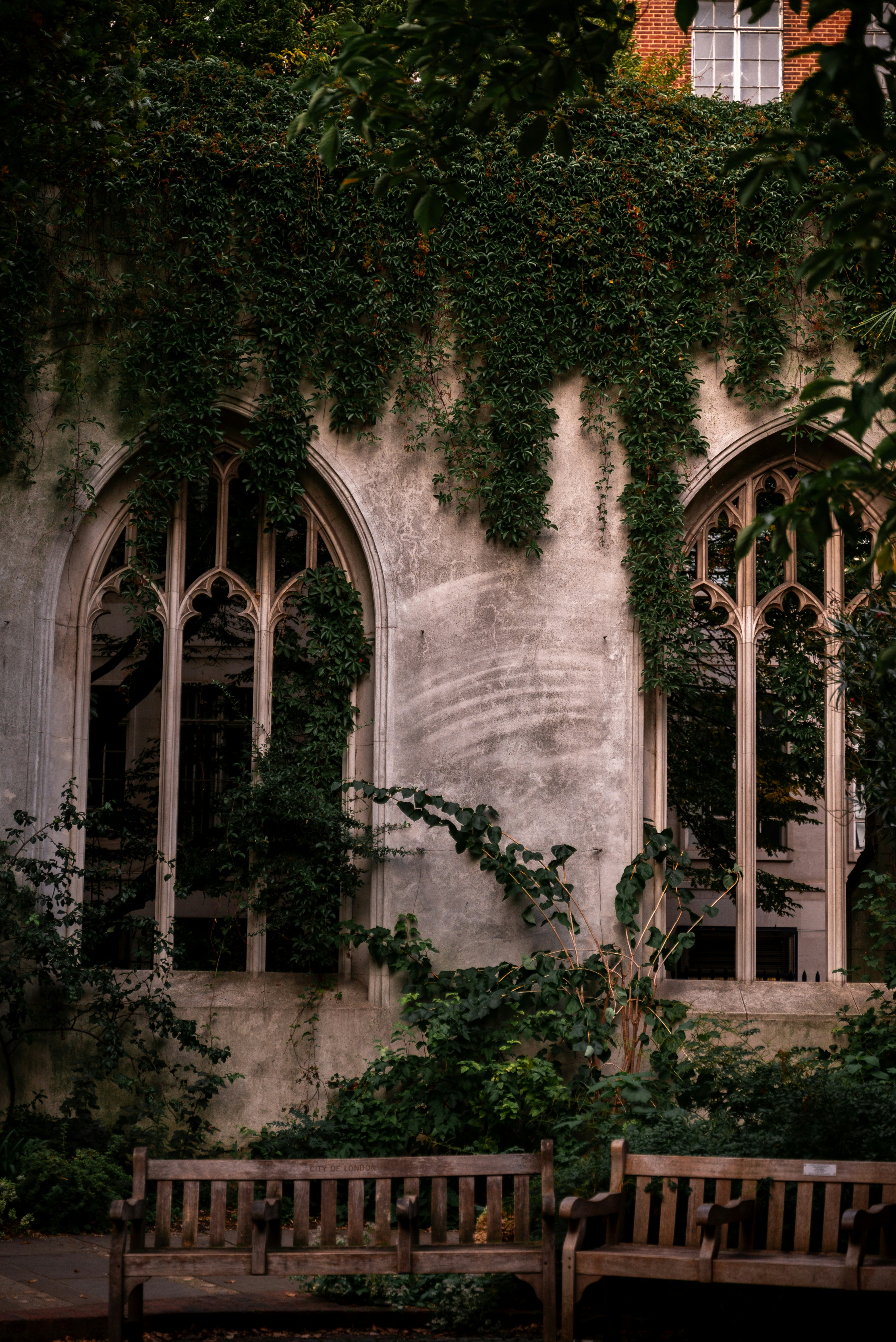 Photo by miekelauren