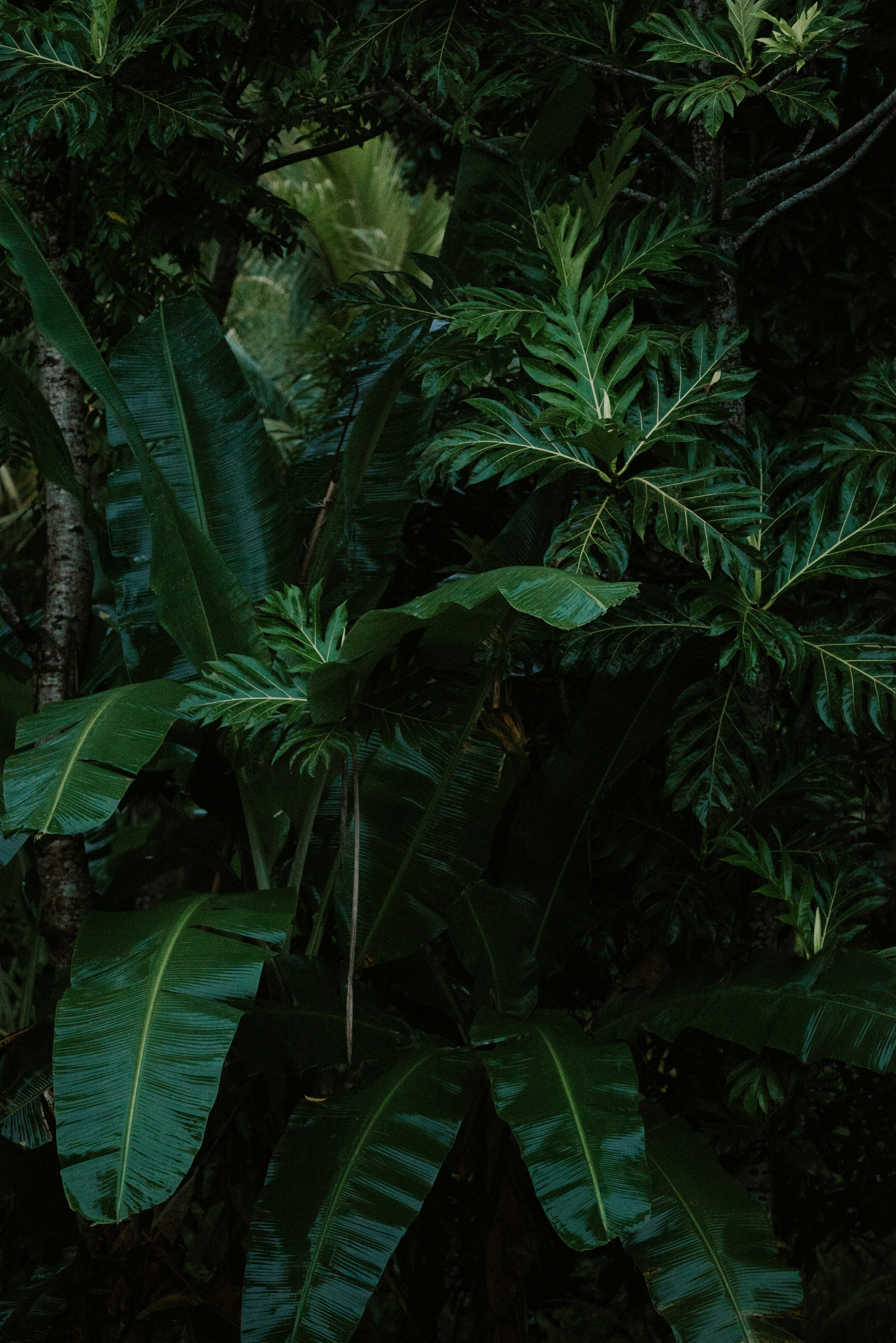 Photo by miekelauren