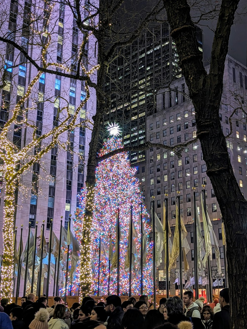 a crowd of people standing around a christmas tree