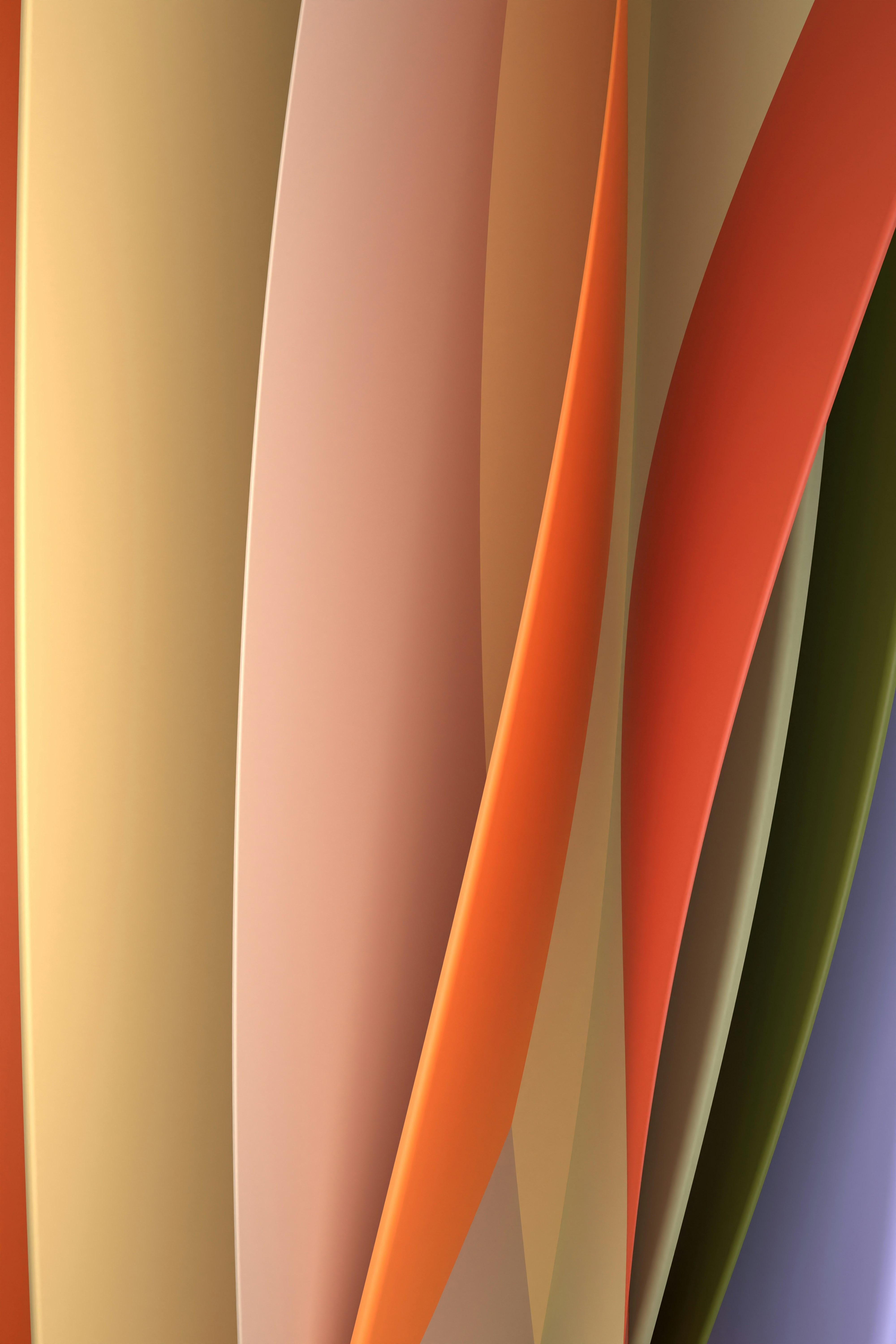 Photo by blenderdesigner