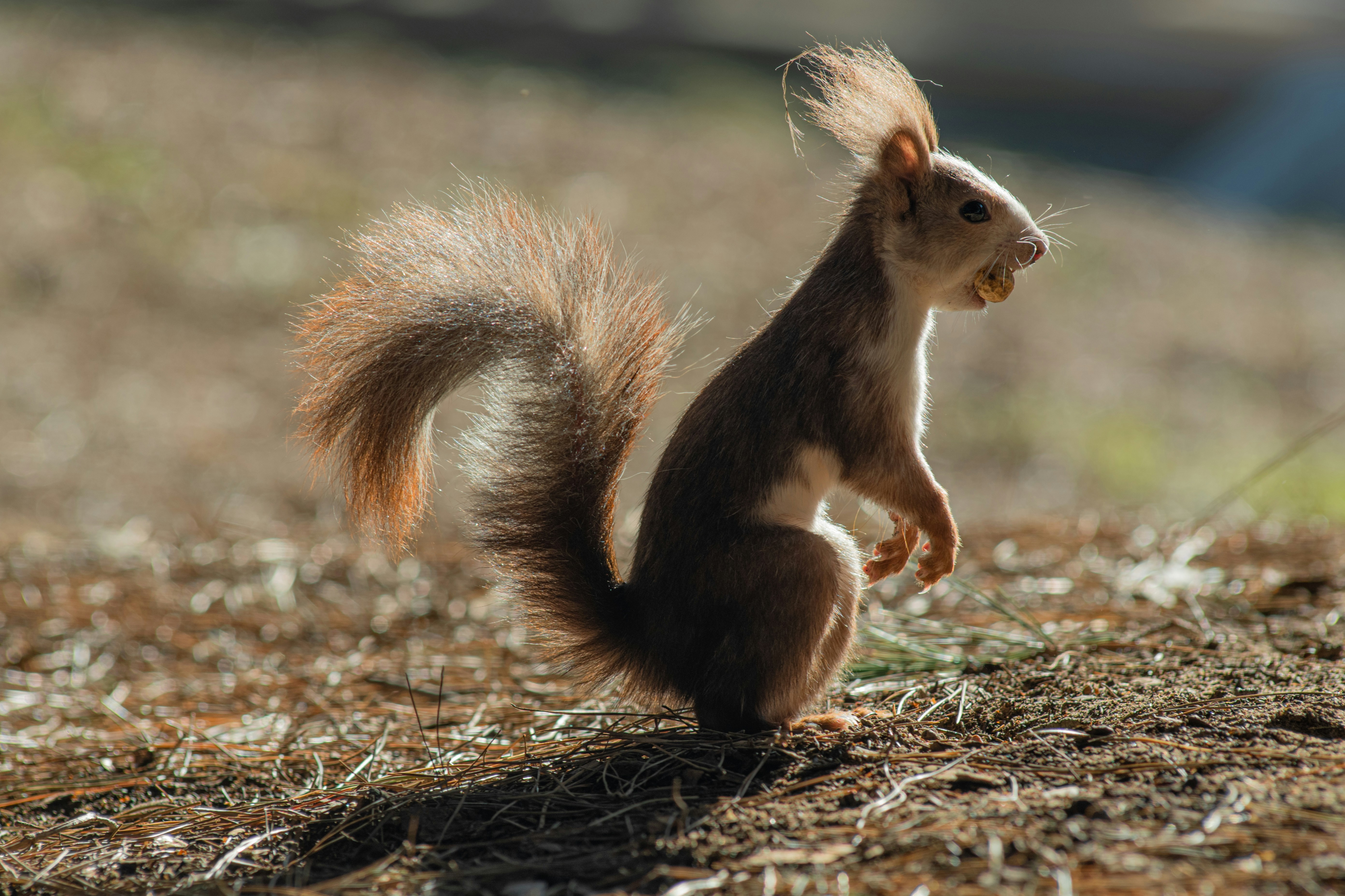 Photo by nataliaraylenegusakova