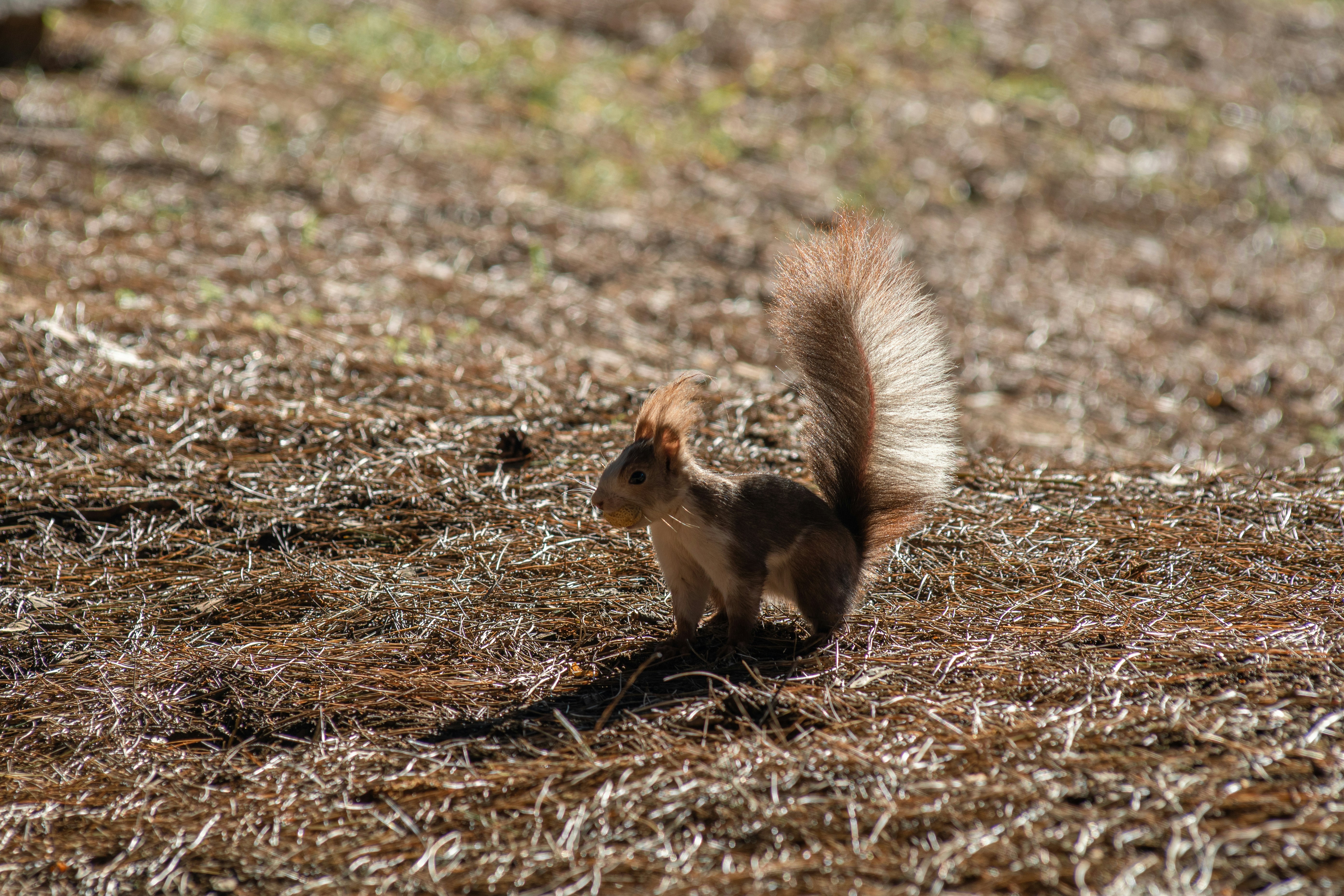 Photo by nataliaraylenegusakova