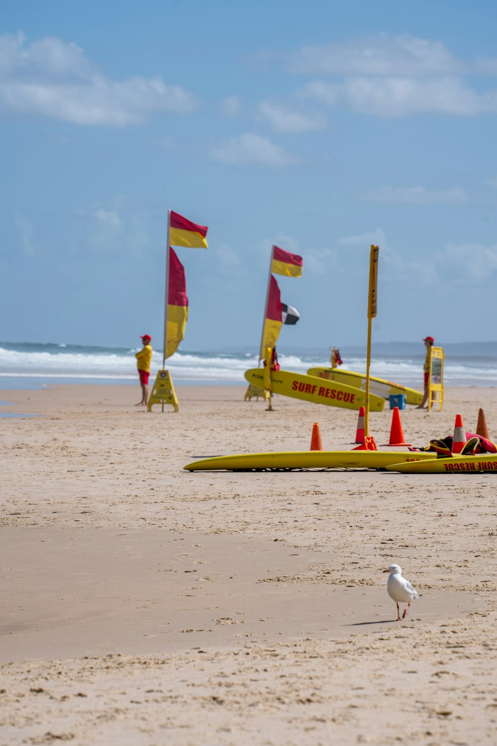 a seagull standing on a beach next to a row of boats