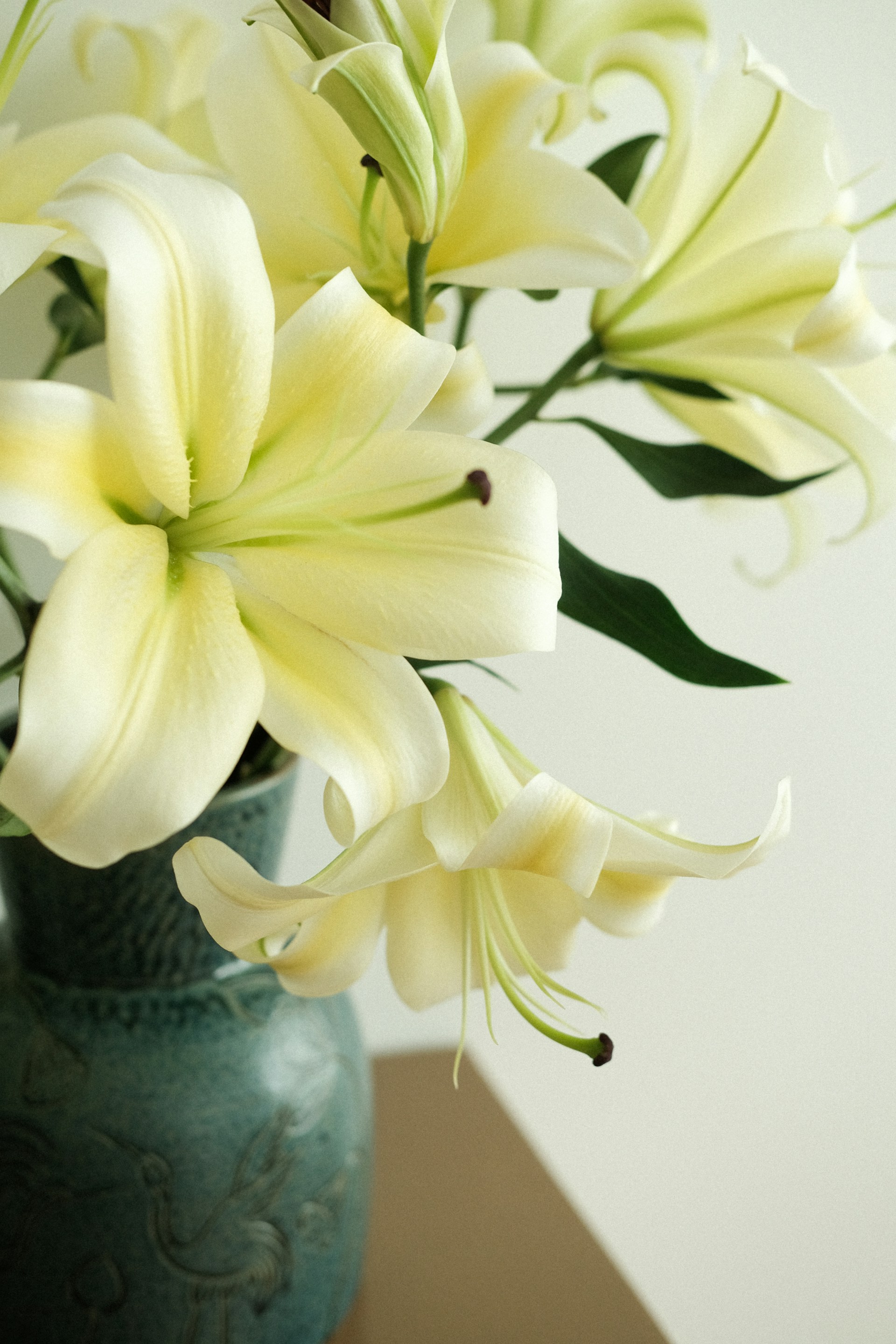 a vase filled with white flowers on top of a table