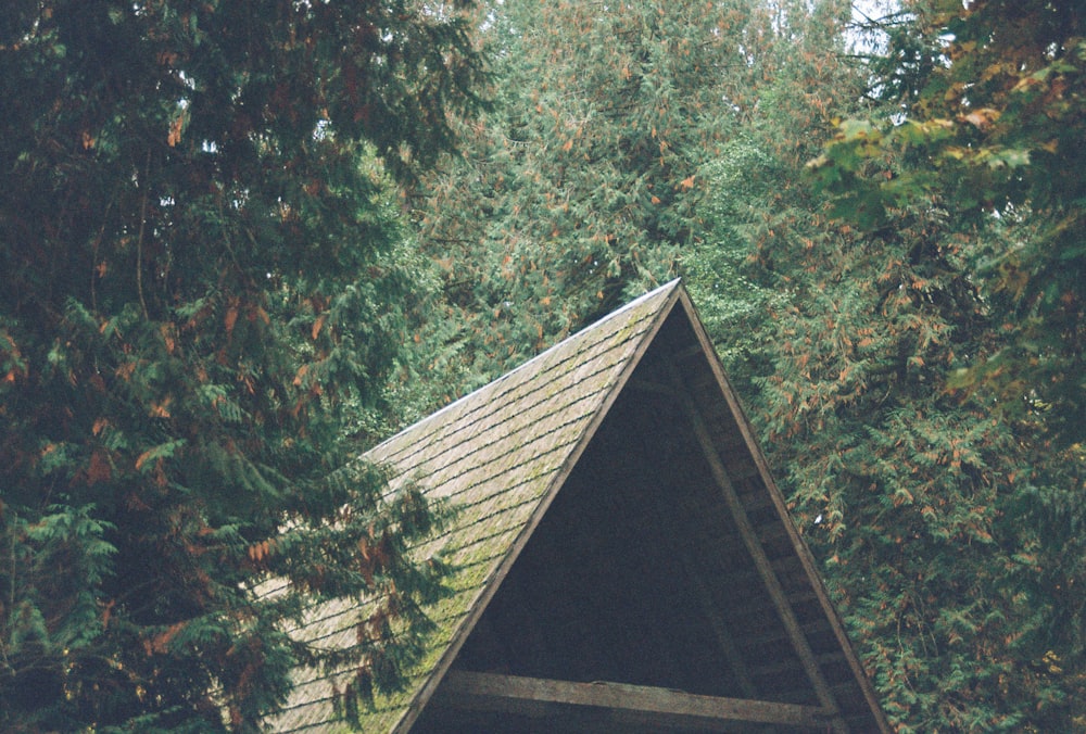 una struttura triangolare in legno nel mezzo di un bosco