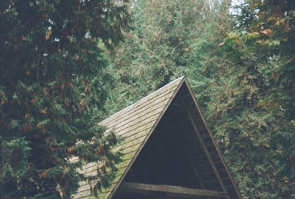 a triangular wooden structure in the middle of a forest