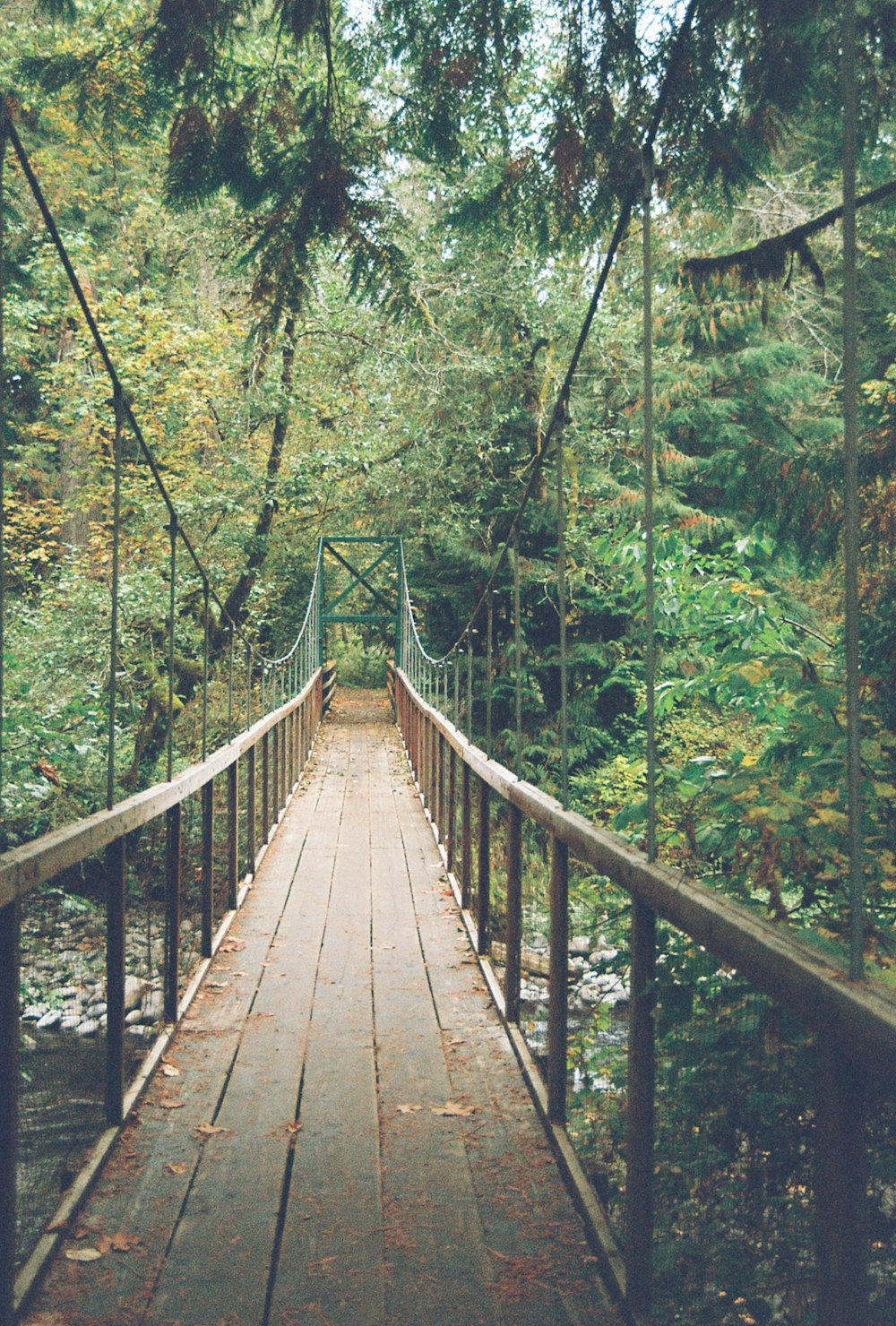 a wooden bridge in the middle of a forest