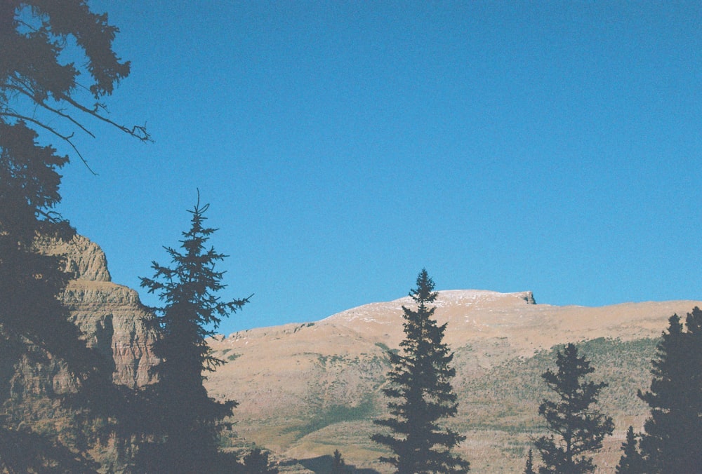 a view of a mountain with trees in the foreground