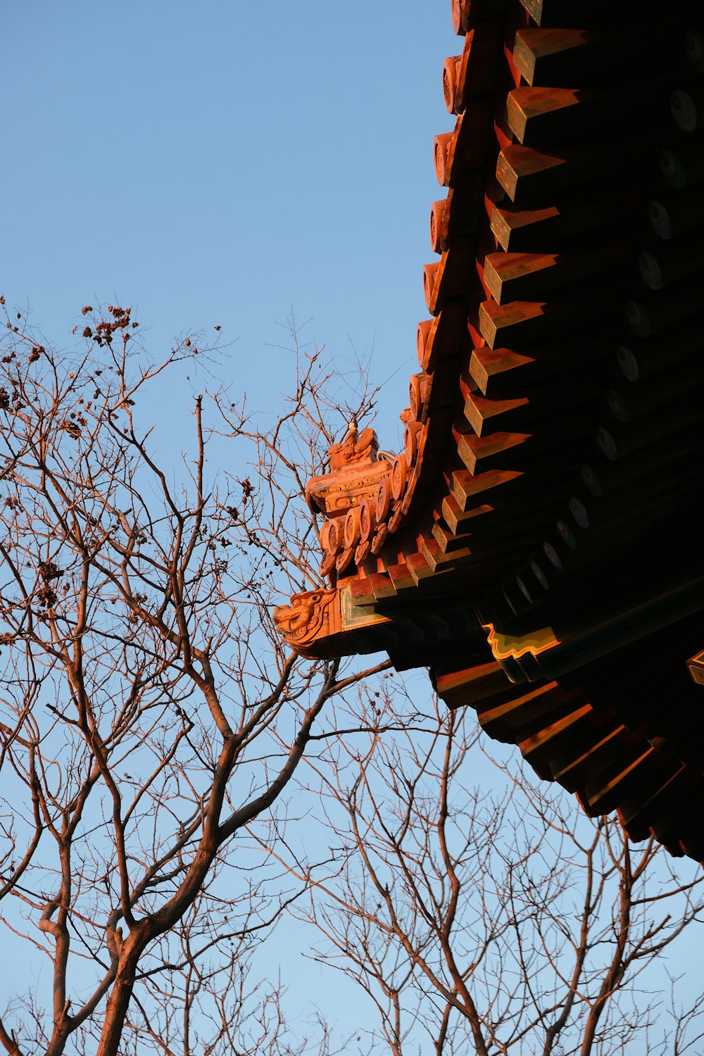 a view of a tree and a building from below